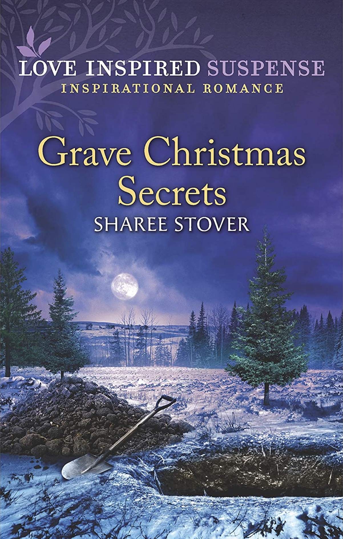 Grave Christmas Secrets book cover