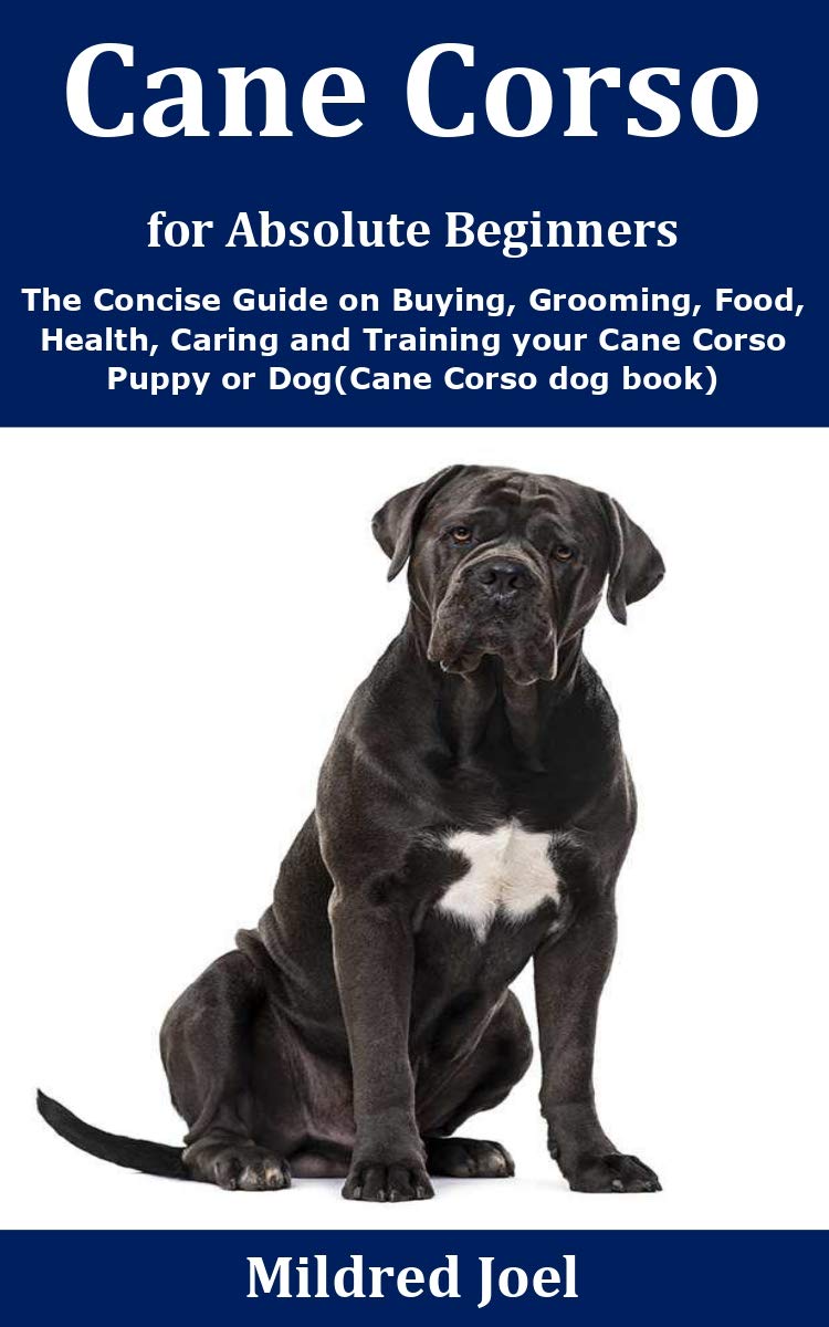 Cane Corso for Absolute Beginners The Concise Guide on Buying