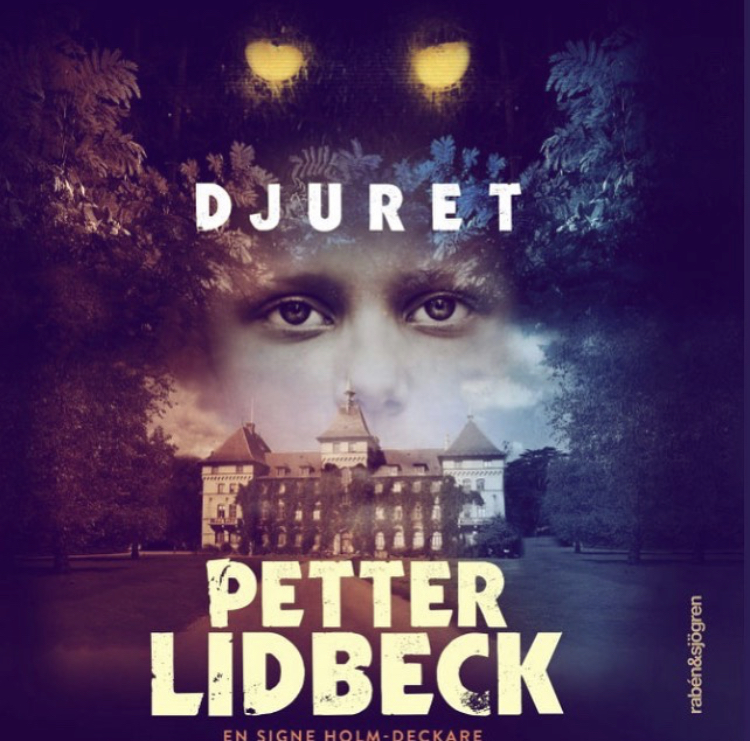 Signe Holm book cover 2