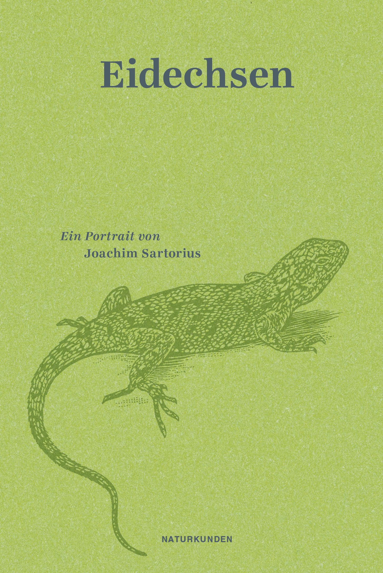 Eidechsen book cover