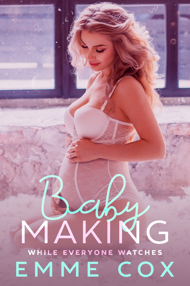 Baby Making While Everyone Watches book cover