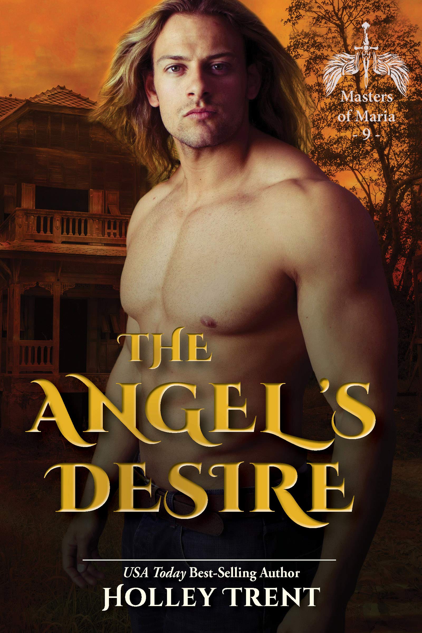 The Angel's Desire book cover