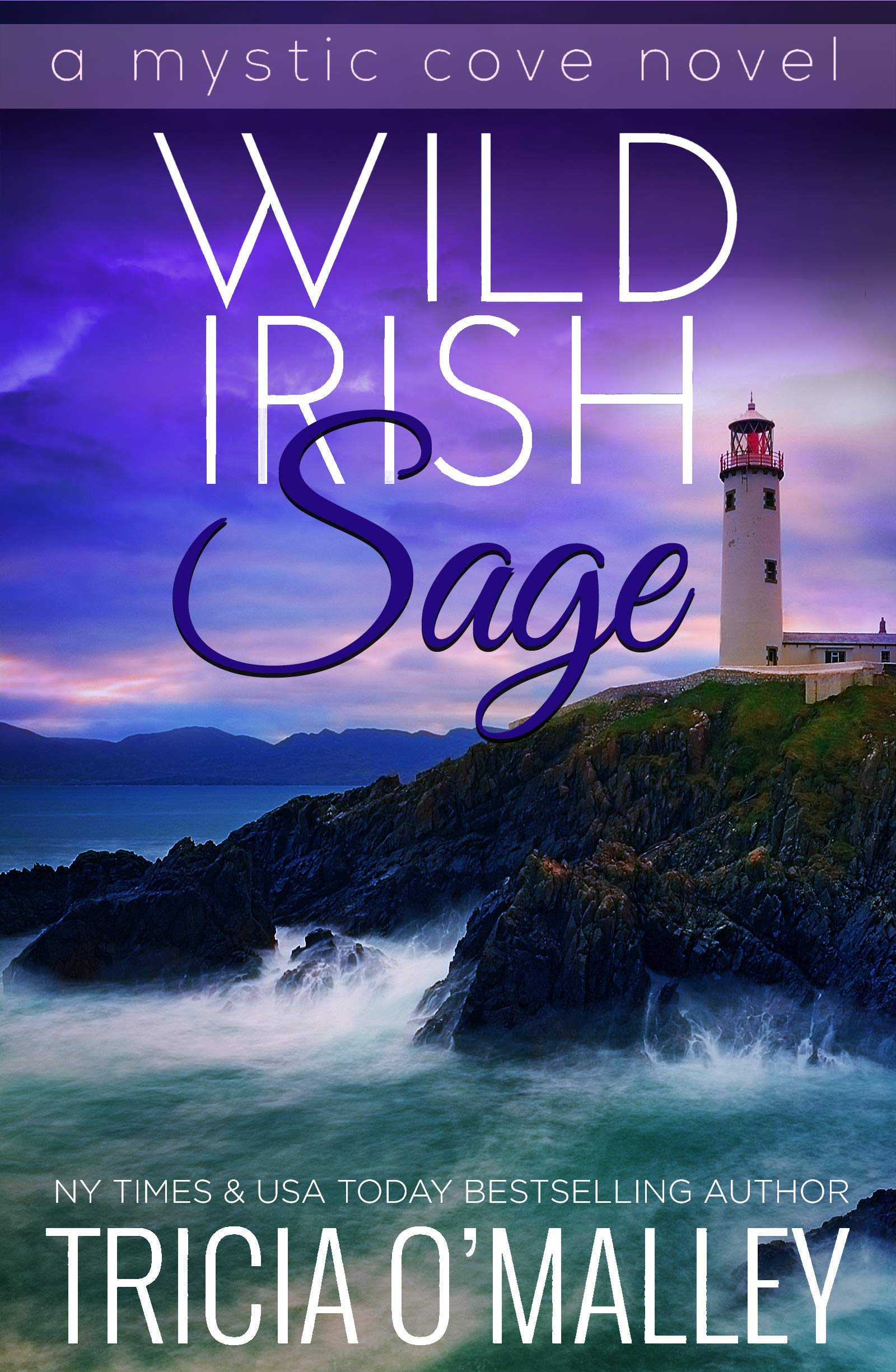Wild Irish Sage book cover