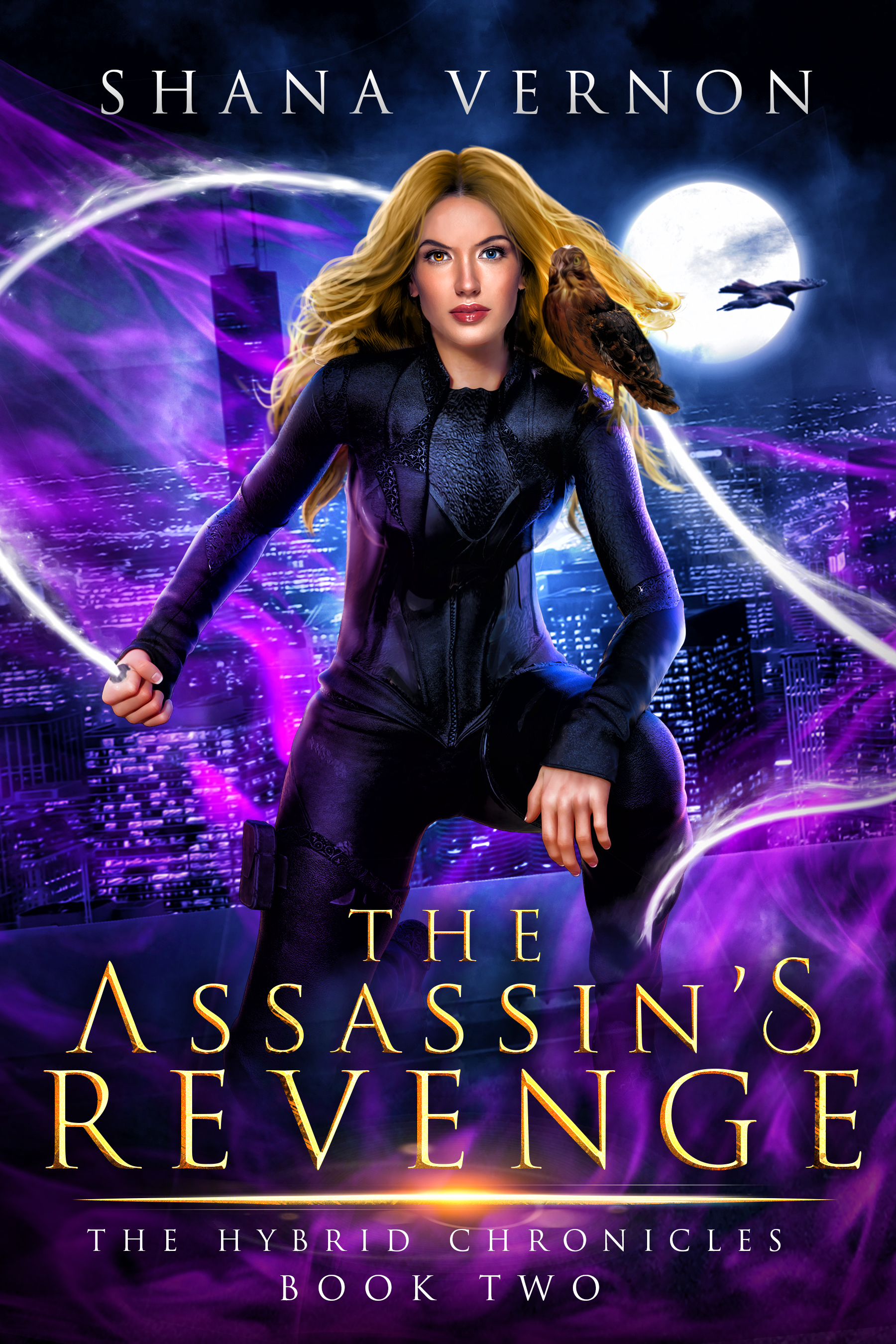The Assassin's Revenge book cover
