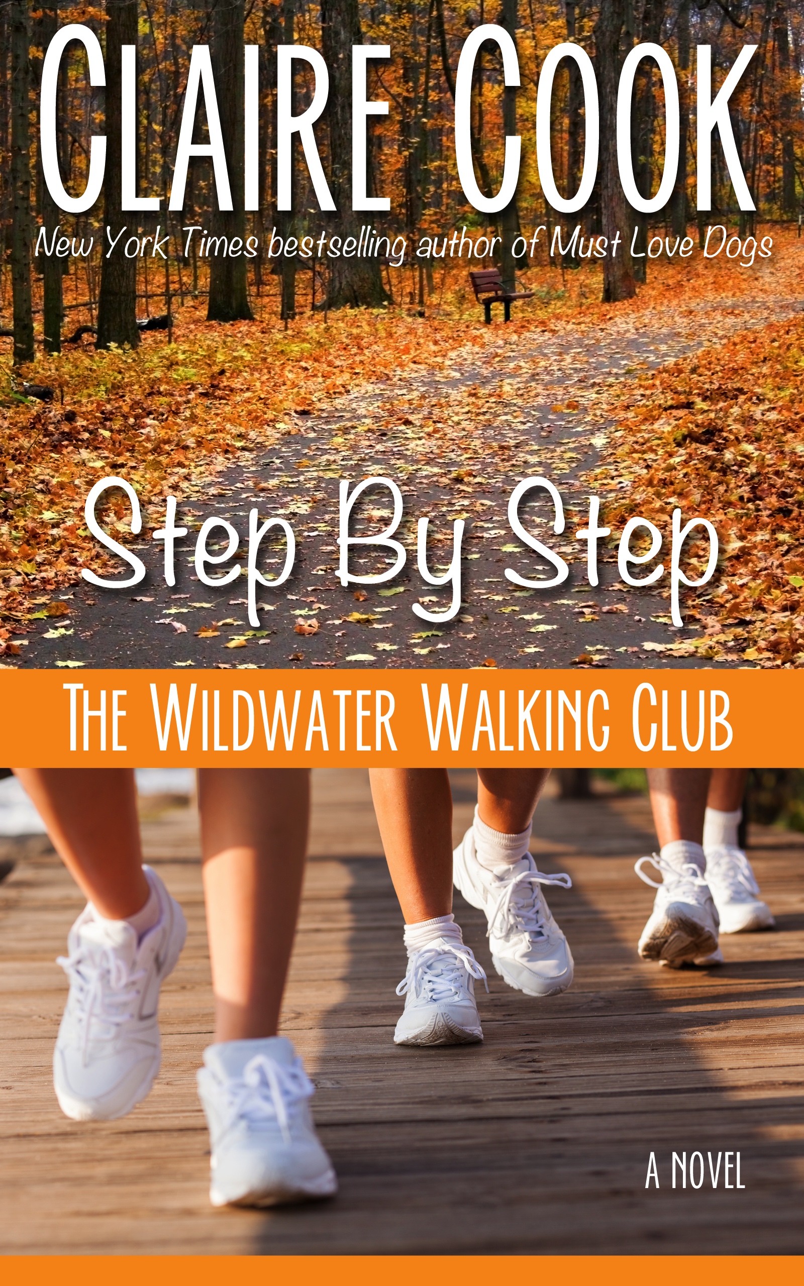 Step by Step book cover