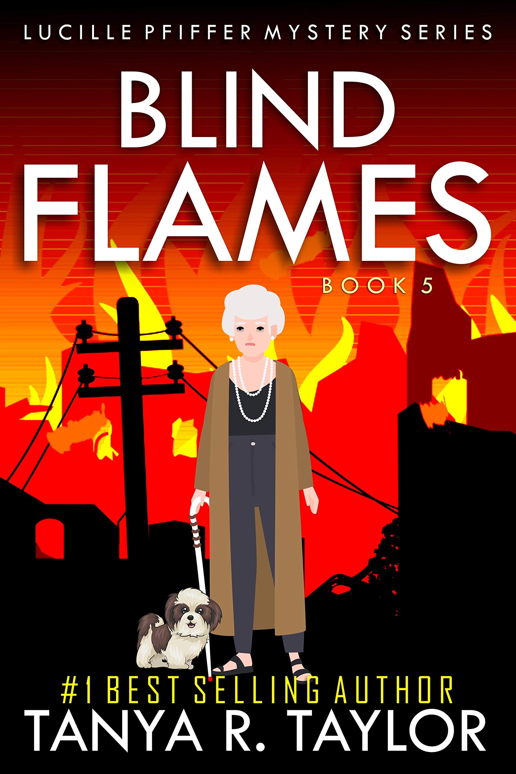 Blind Flames book cover