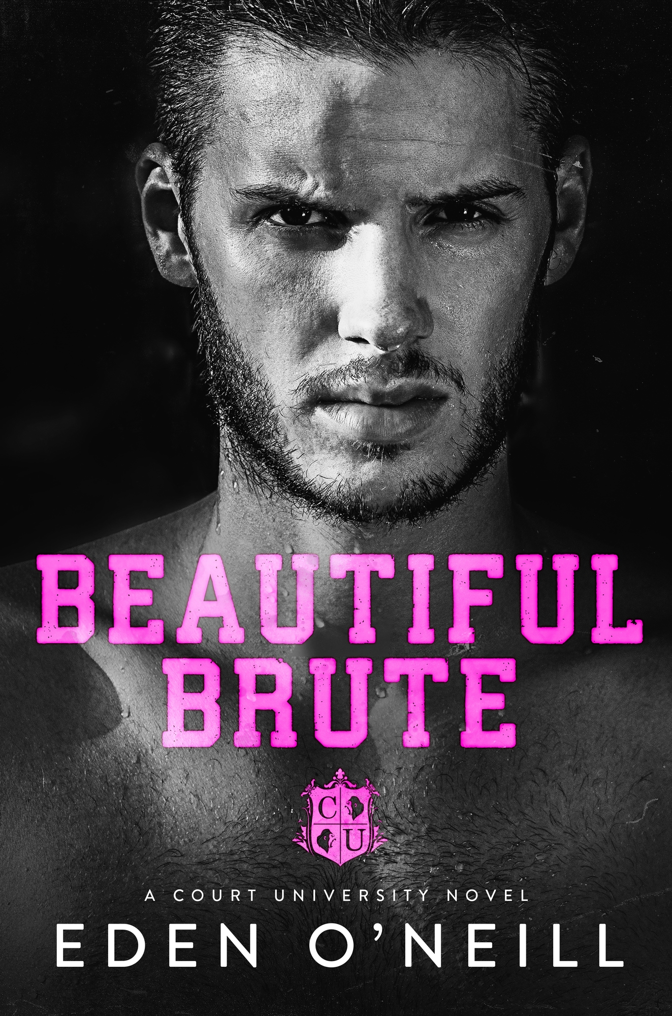 Court University book cover 3