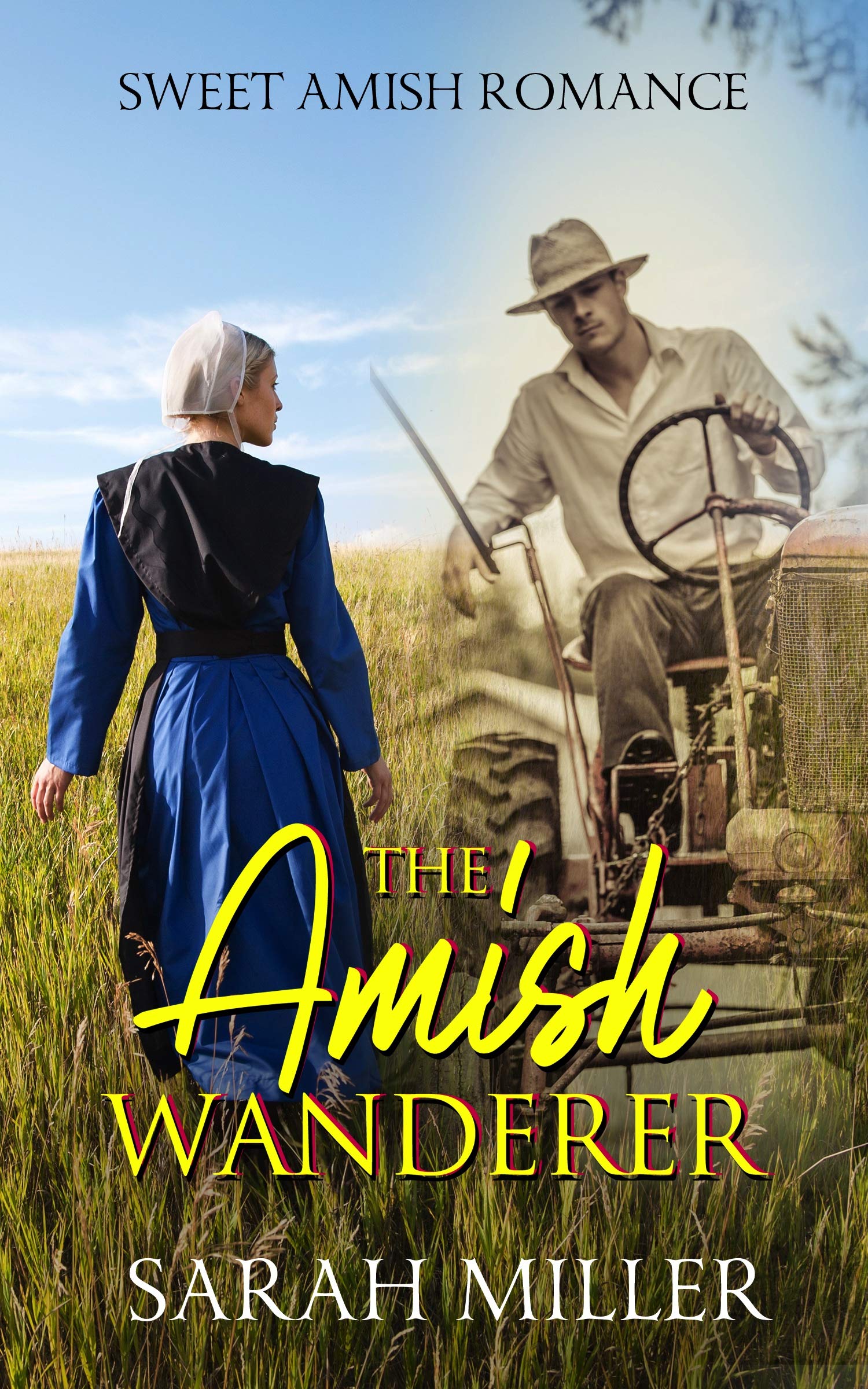 The Amish Wanderer book cover