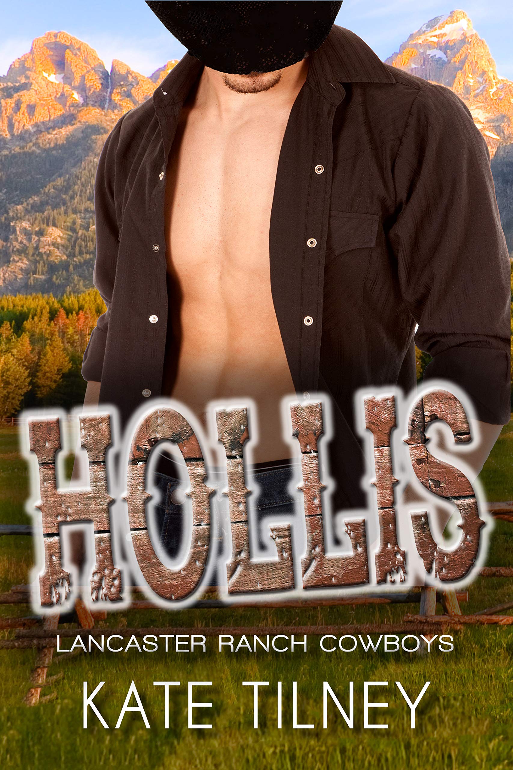 Hollis (Lancaster Ranch Cowboys #3 book cover