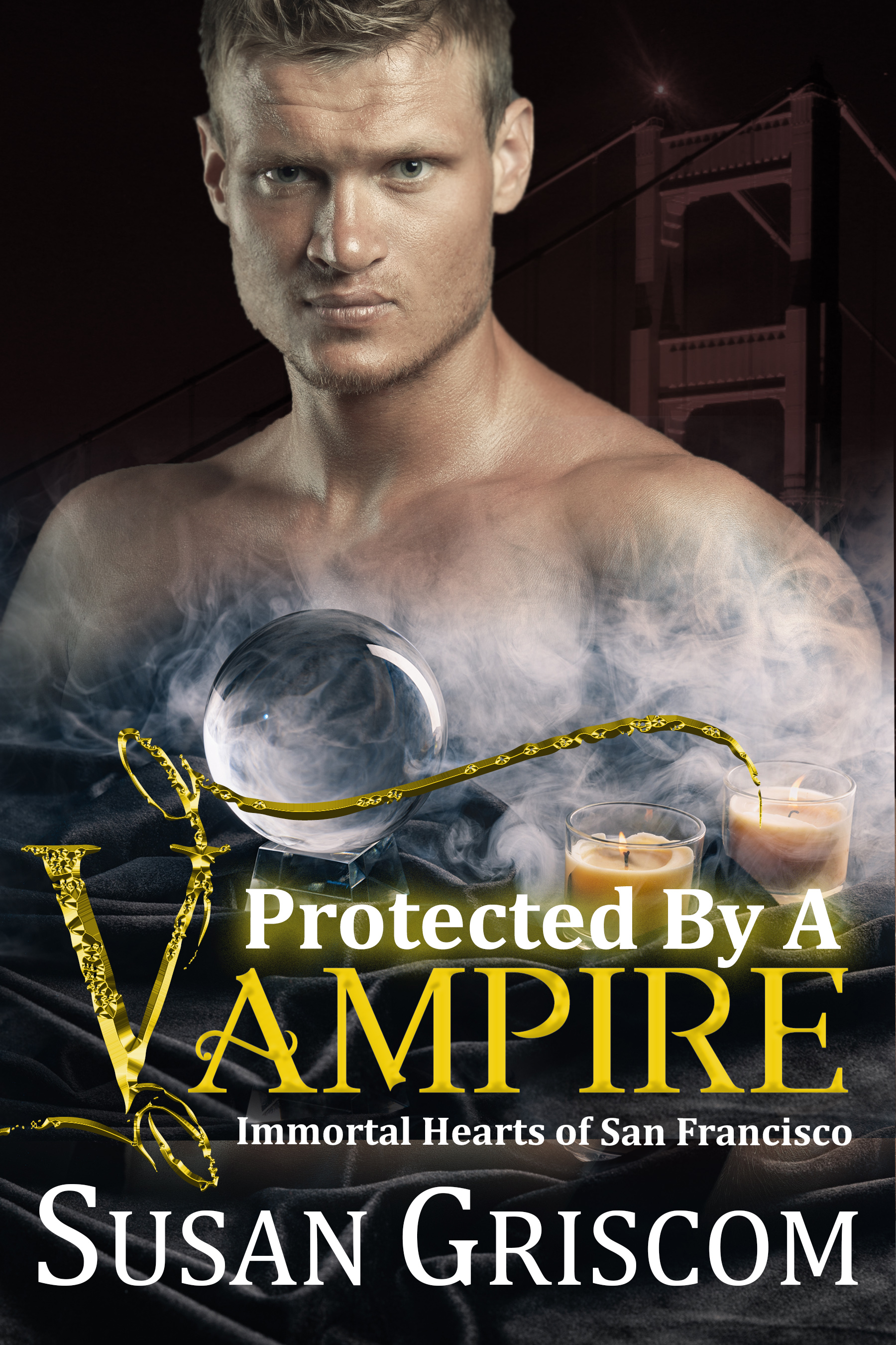 Protected by a Vampire book cover
