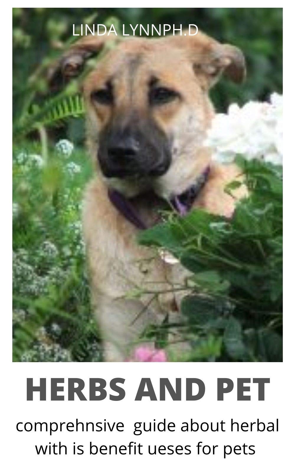 HERBS AND PET Perfect Guide of Natural Healing for Dogs & Cats Herbs