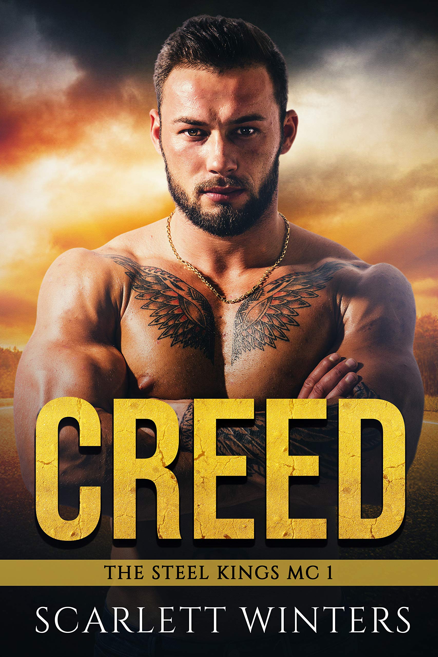 The Steel Kings MC book cover 1