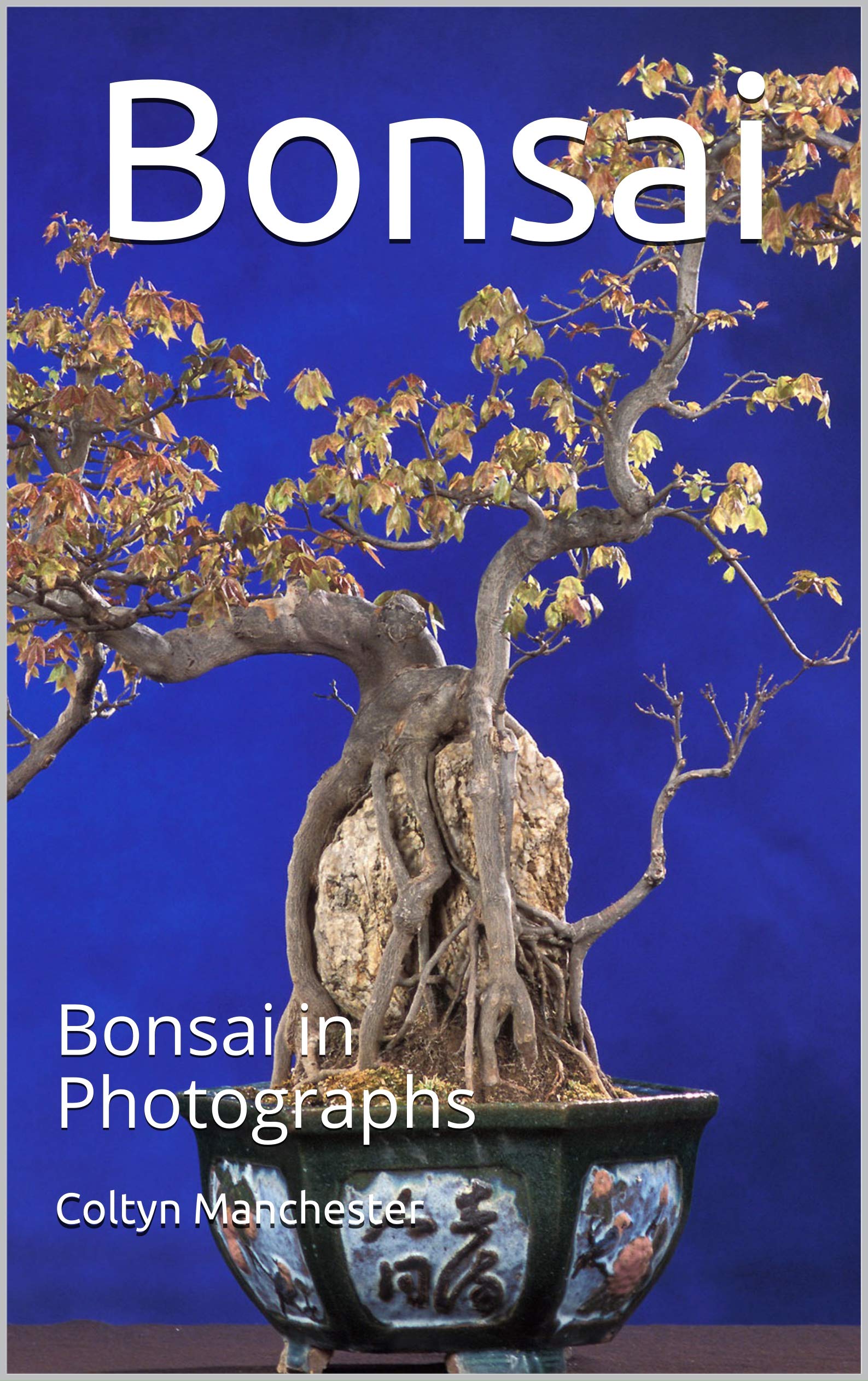 Bonsai Bonsai in Photographs by Coltyn Manchester Goodreads