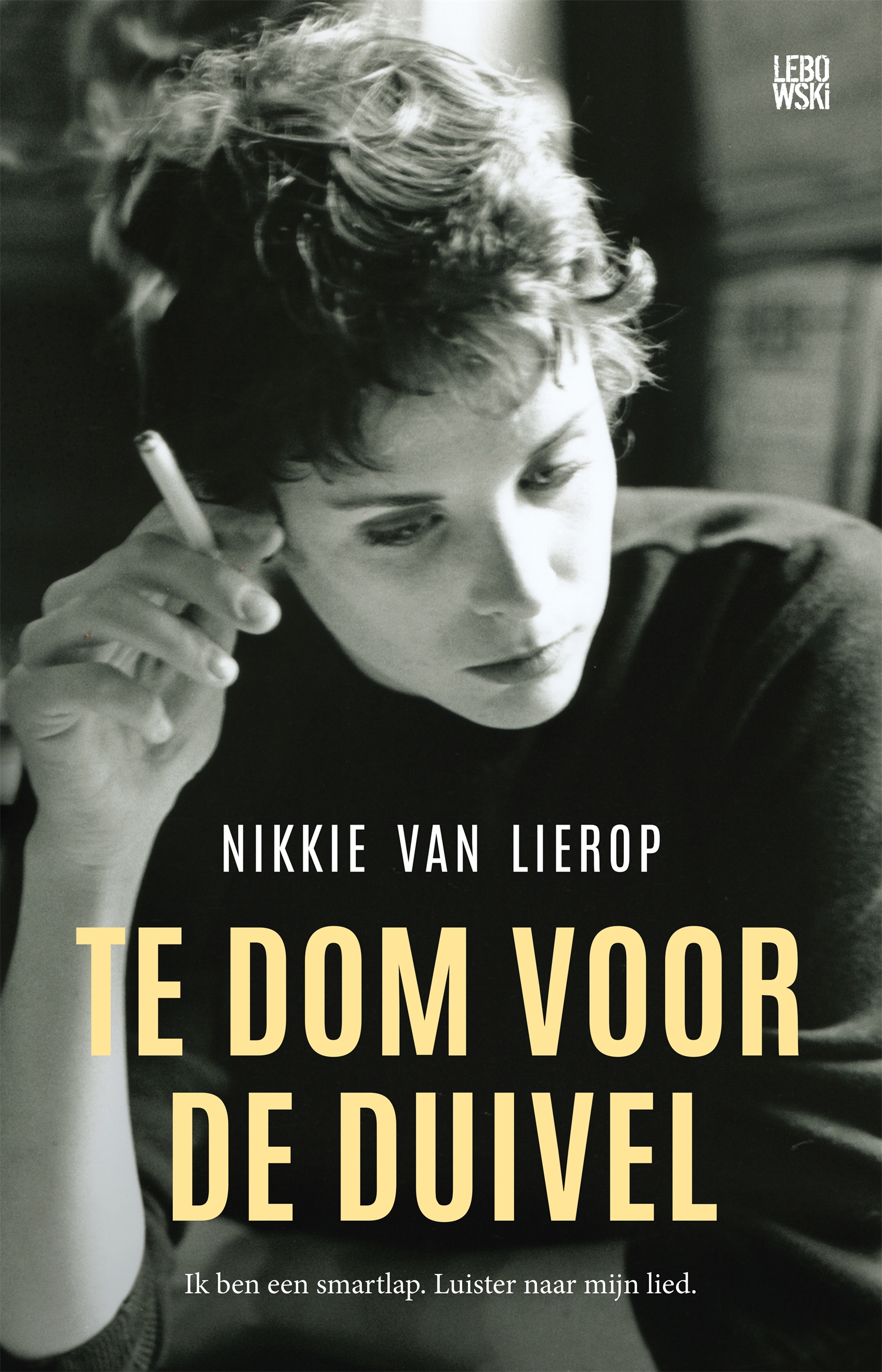 Te dom voor de duivel book cover