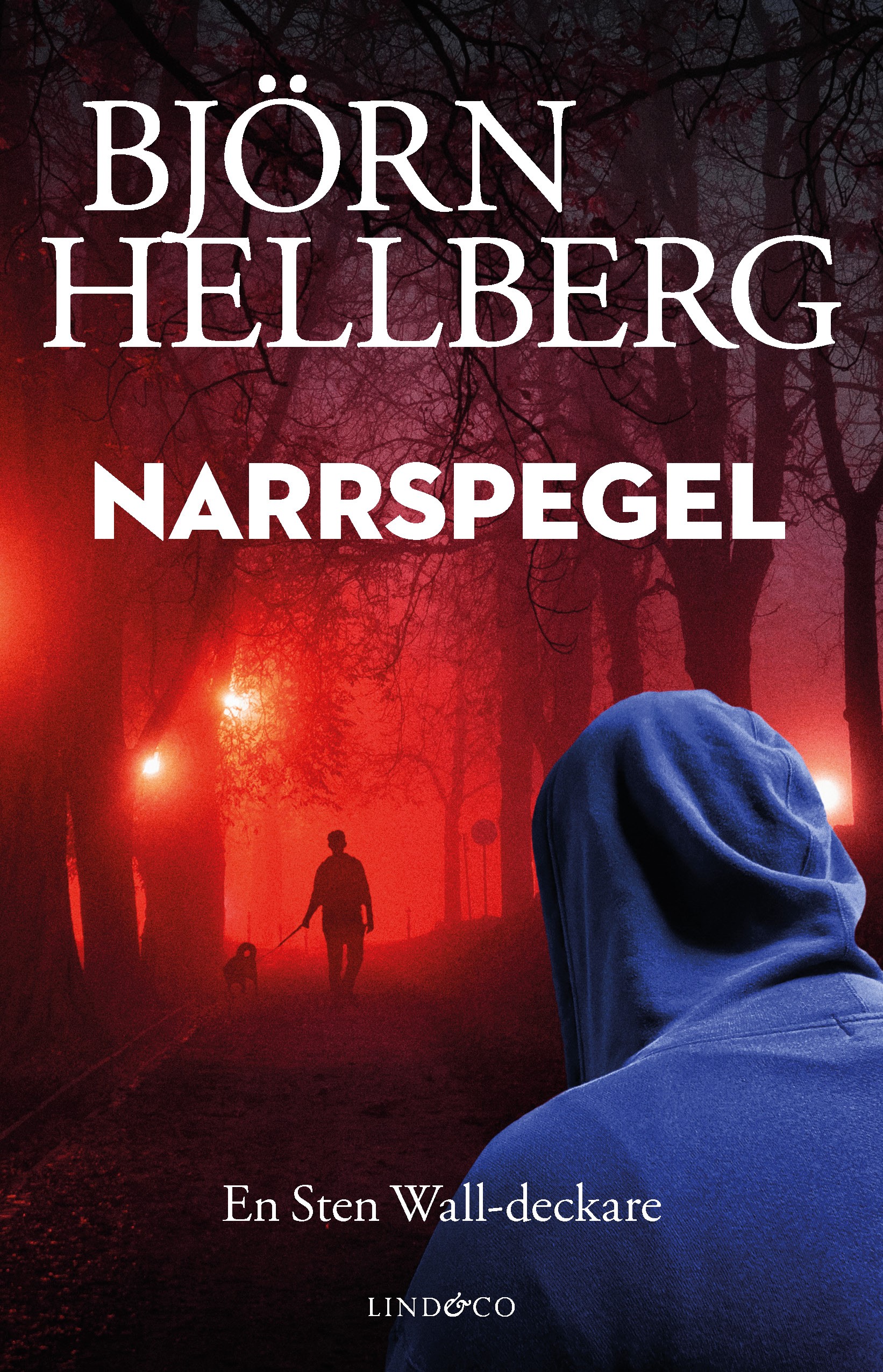 Narrspegel book cover