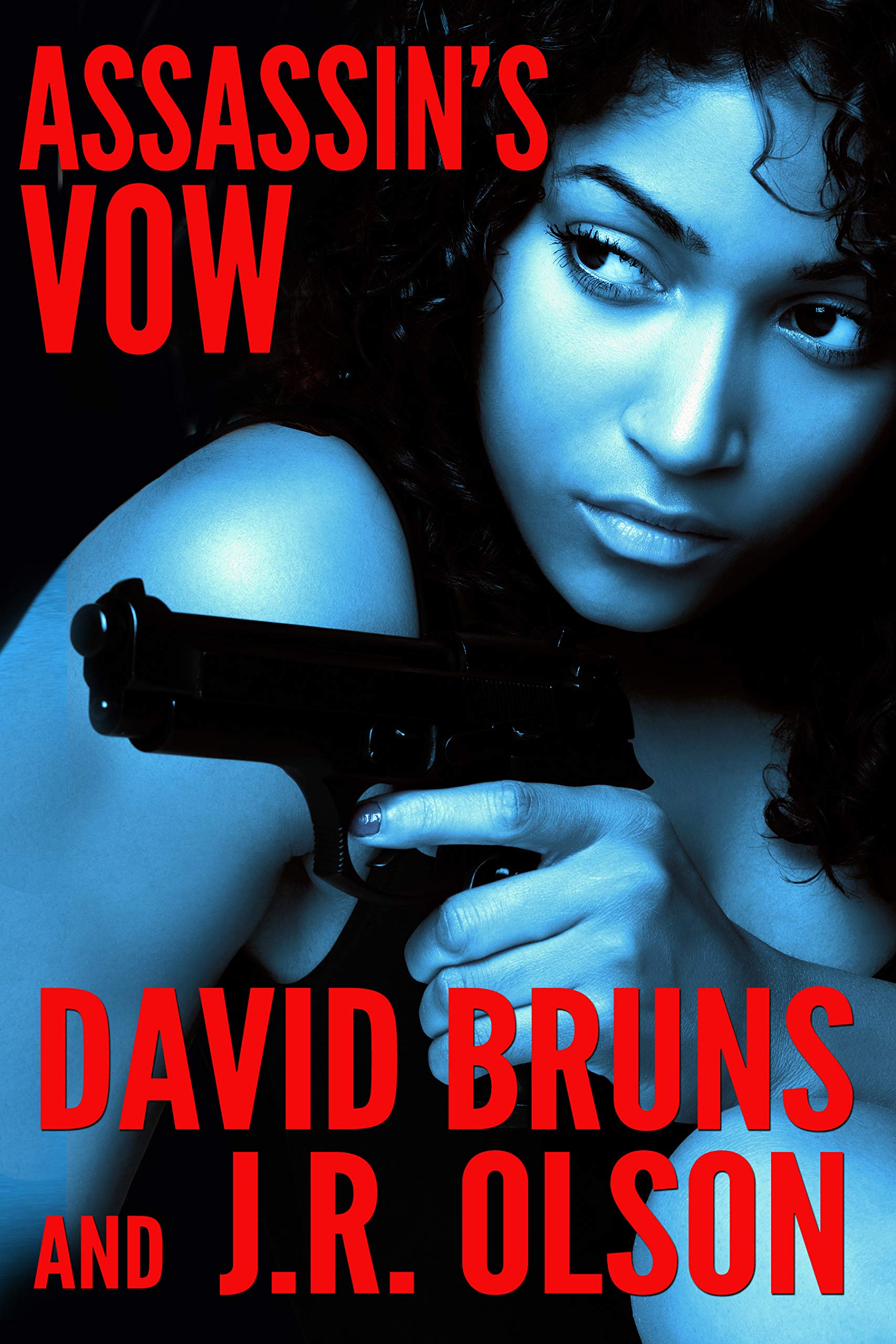 Assassin's Vow book cover