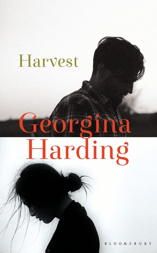 Harvest book cover