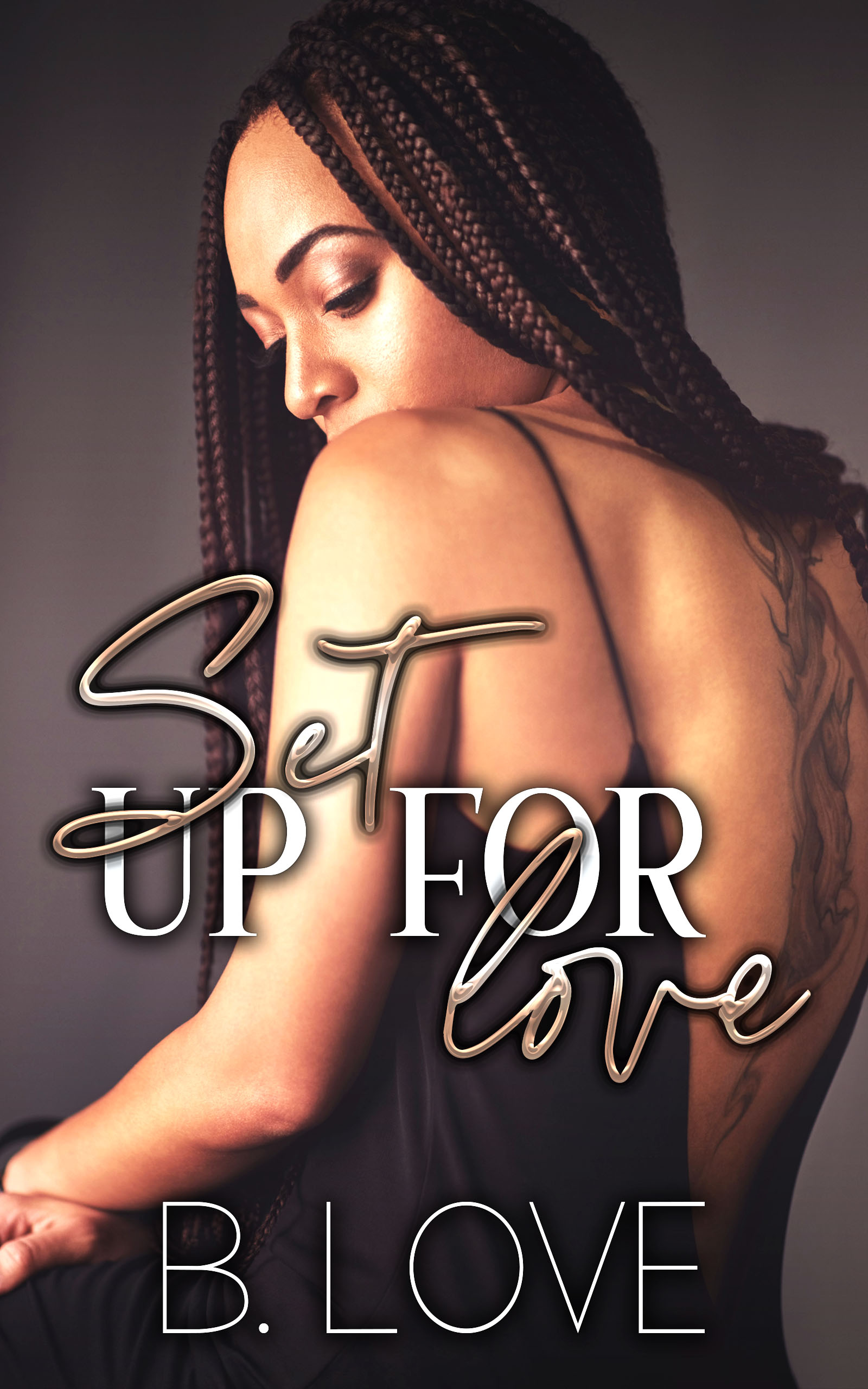 Set Up for Love book cover