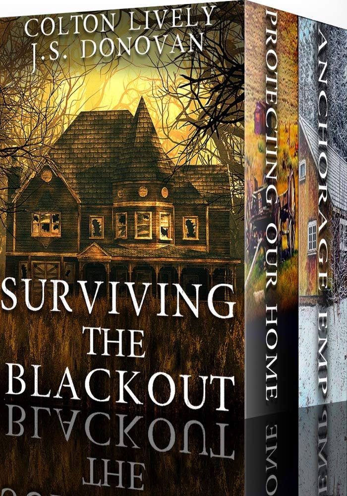 Surviving the Blackout book cover
