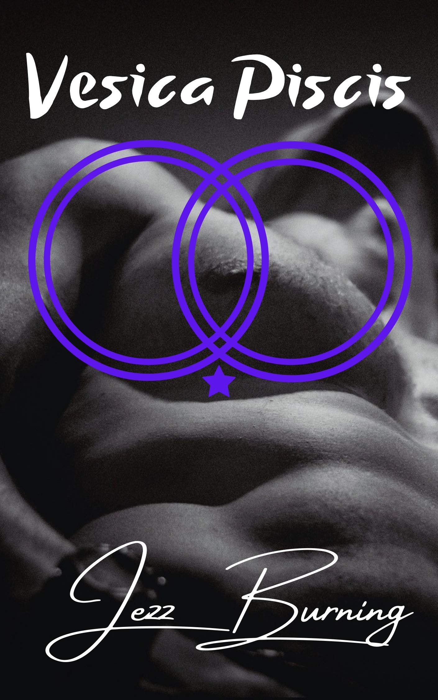 Vesica Piscis book cover