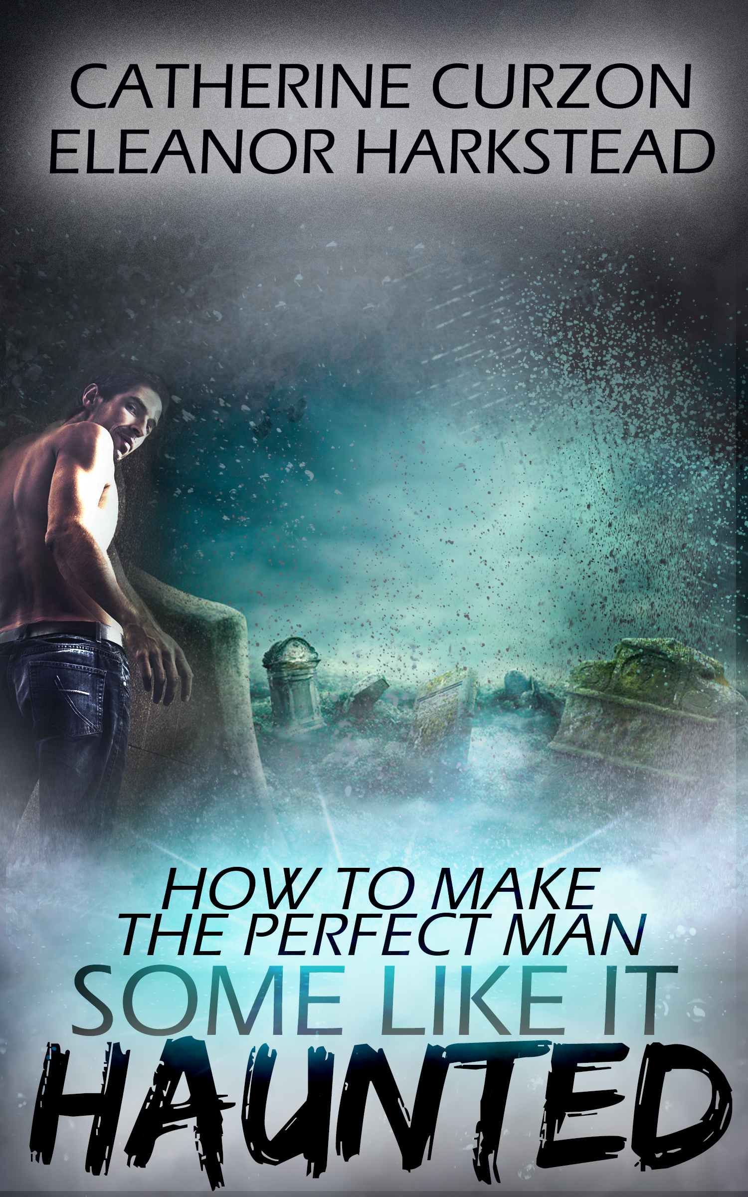 How to Make the Perfect Man book cover