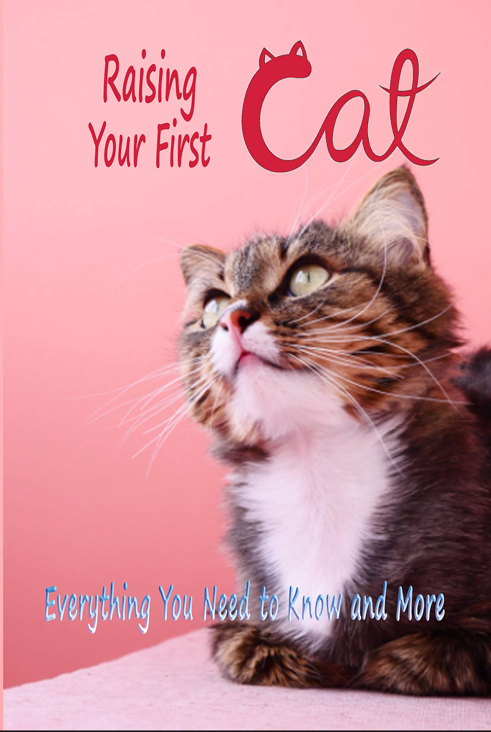 Raising Your First Cat Everything You Need to Know and More by Rocio