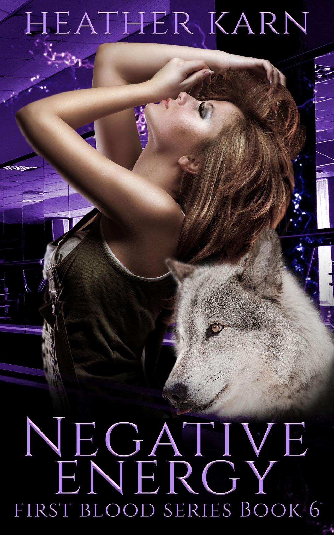 Negative Energy book cover