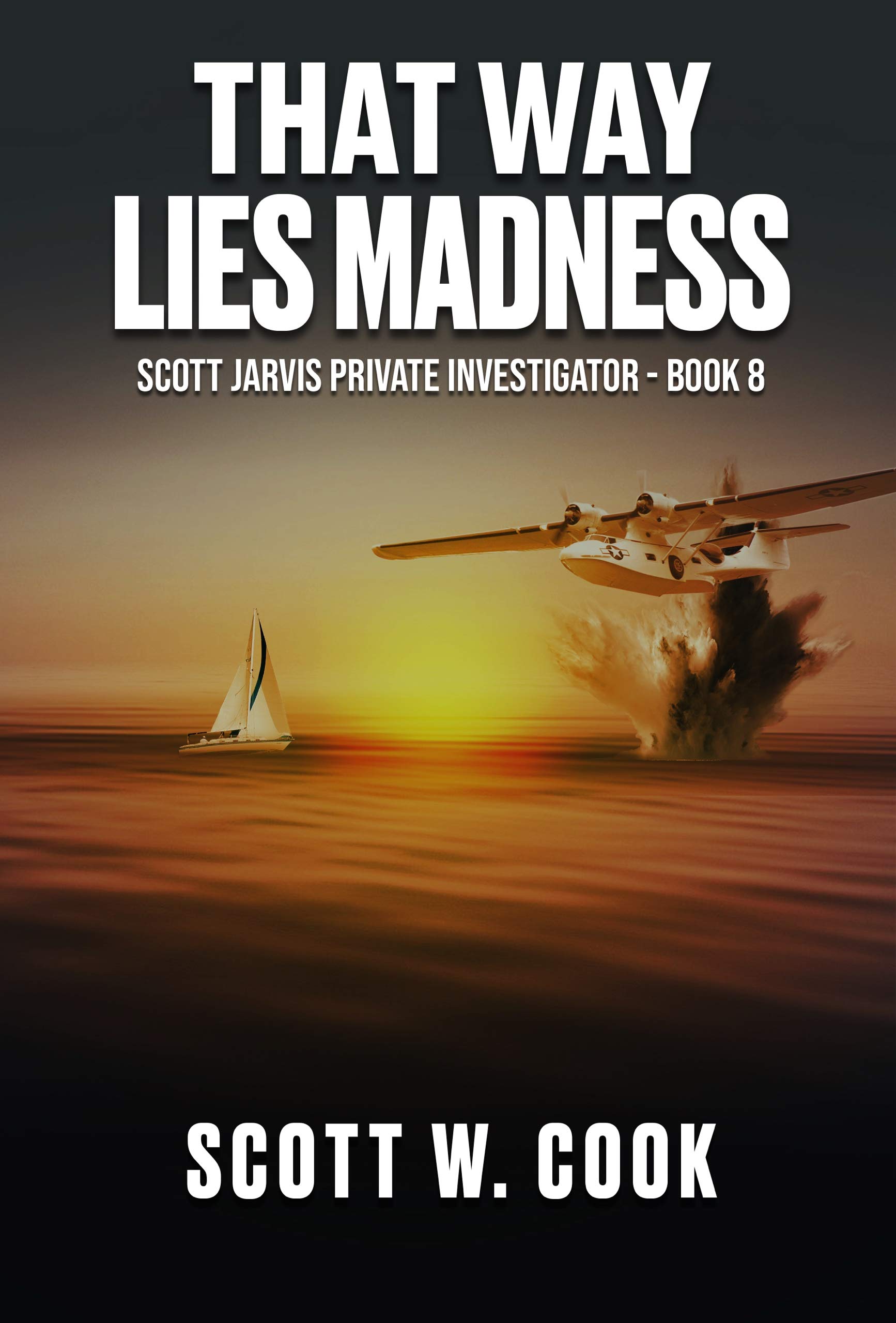 That Way Lies Madness: A Crime Action Thriller