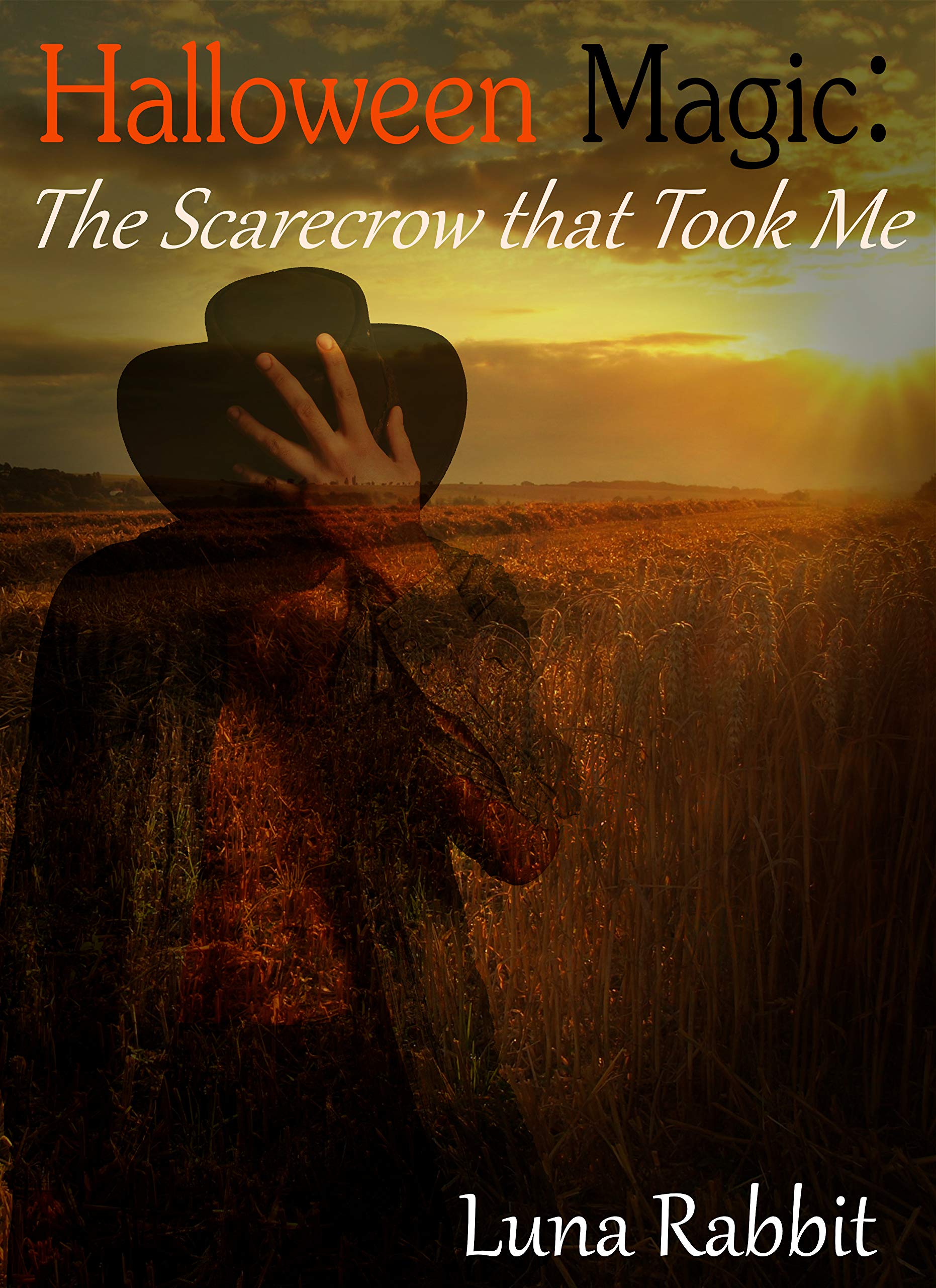 Halloween Magic: The Scarecrow that Took Me by Luna Rabbit | Goodreads