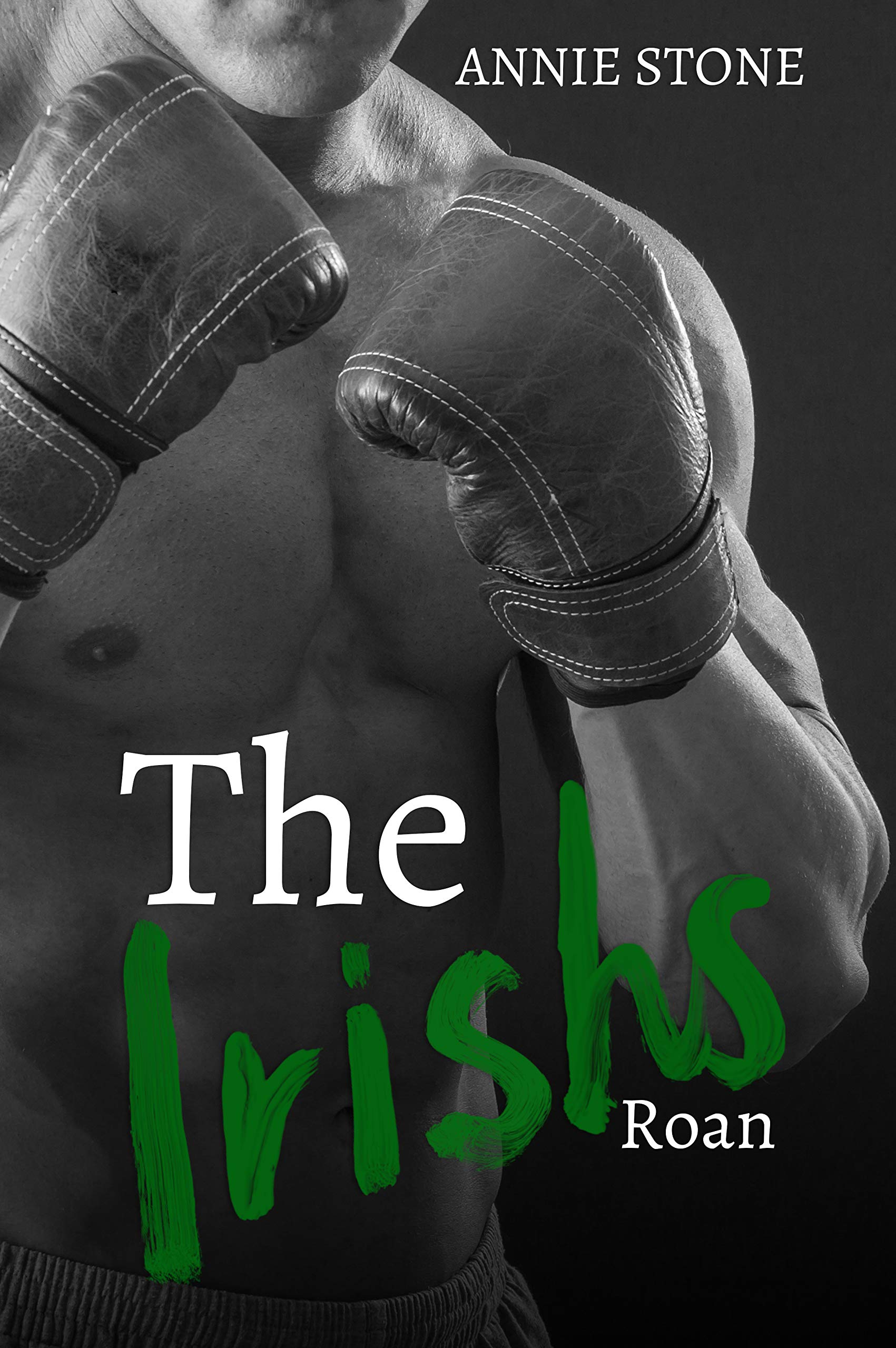 The Irishs book cover 1