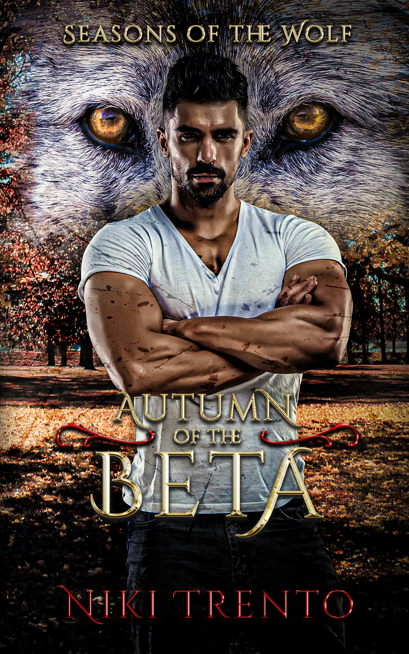 Seasons of the Wolf book cover 2