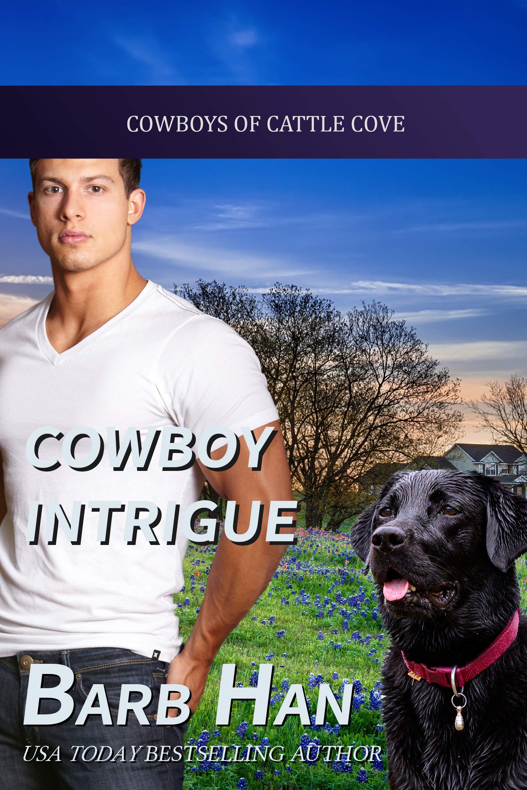 Cowboy Intrigue book cover