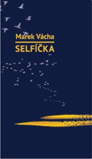 Selfíčka book cover