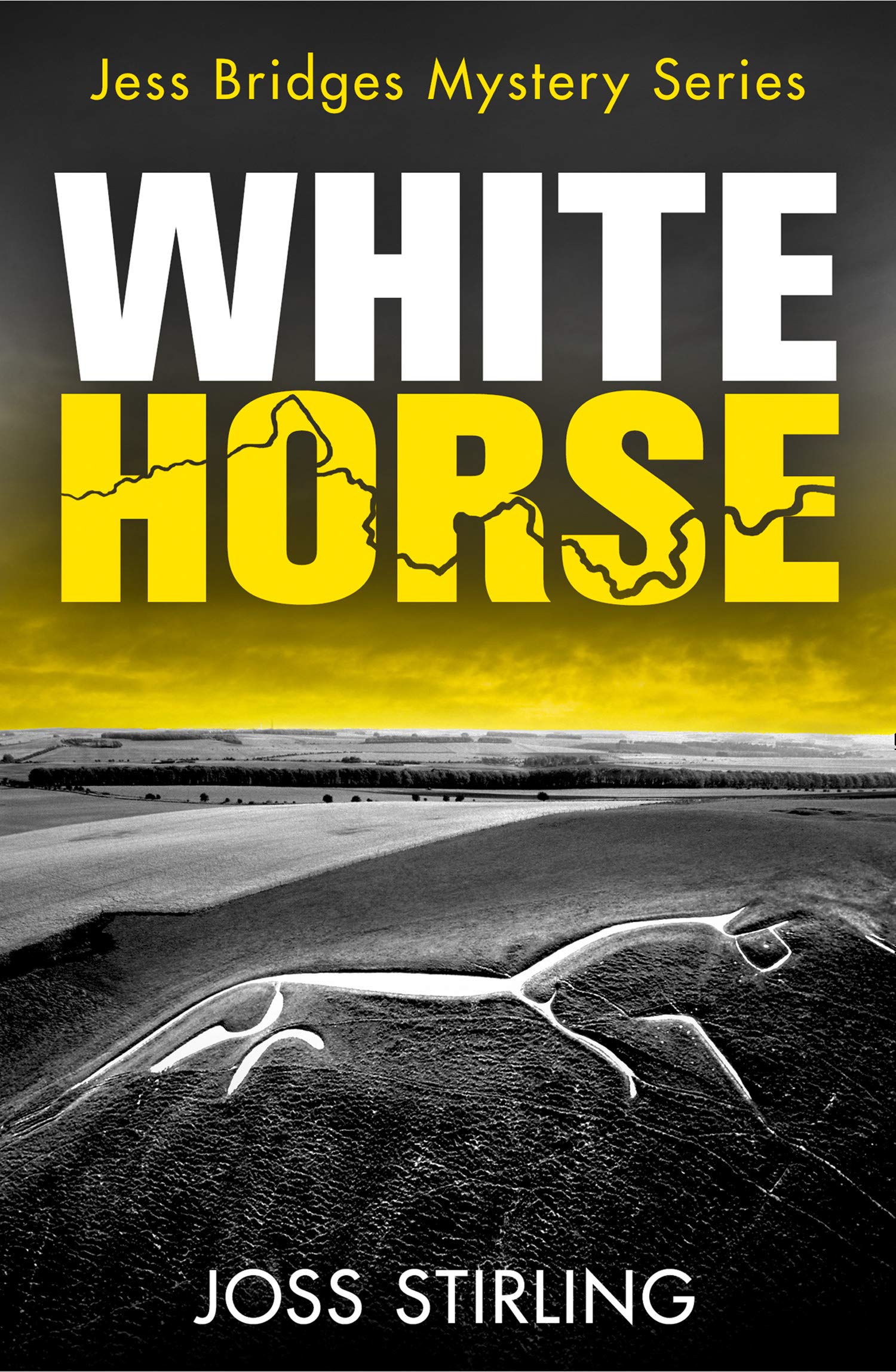 White Horse book cover