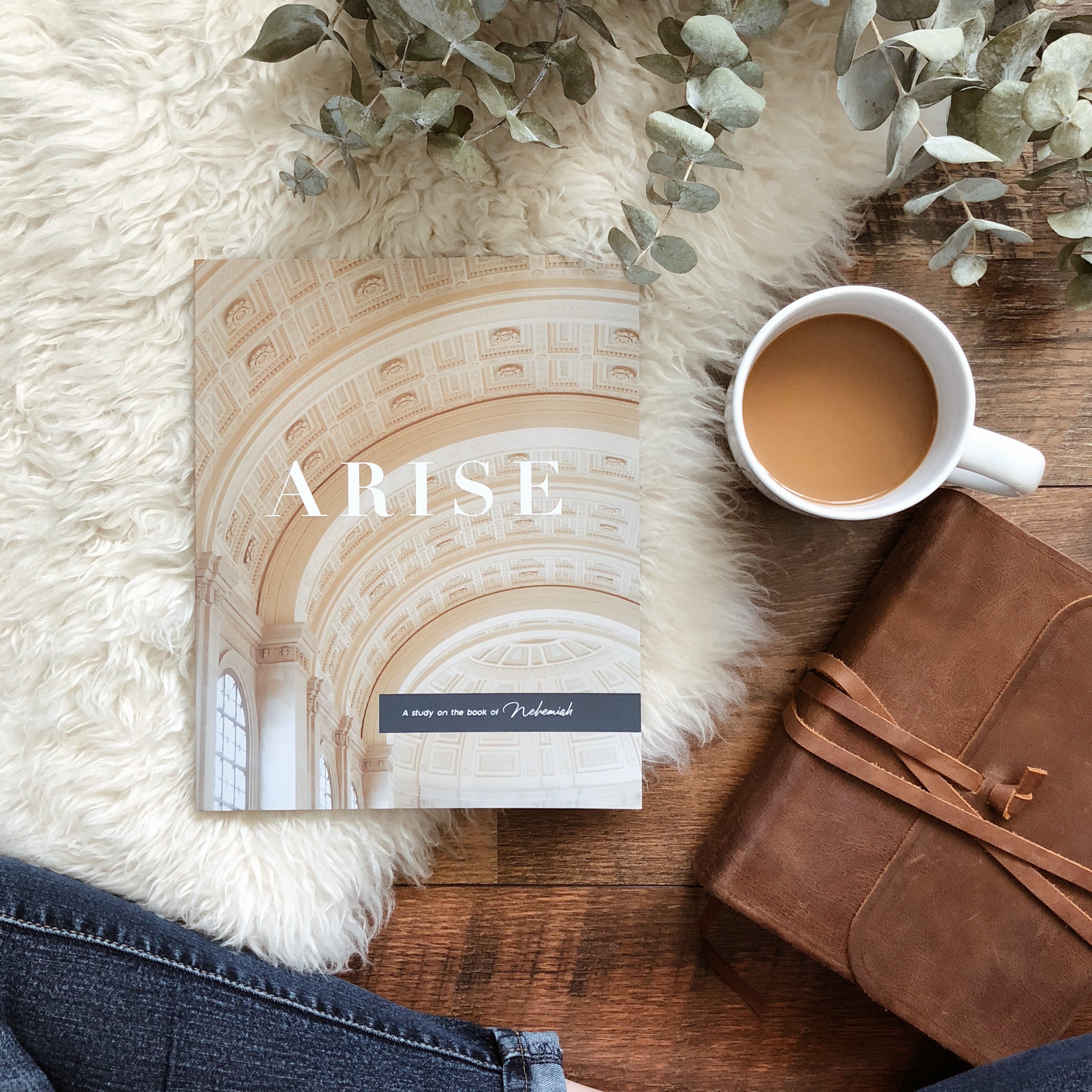 Arise - A Study of Nehemiah