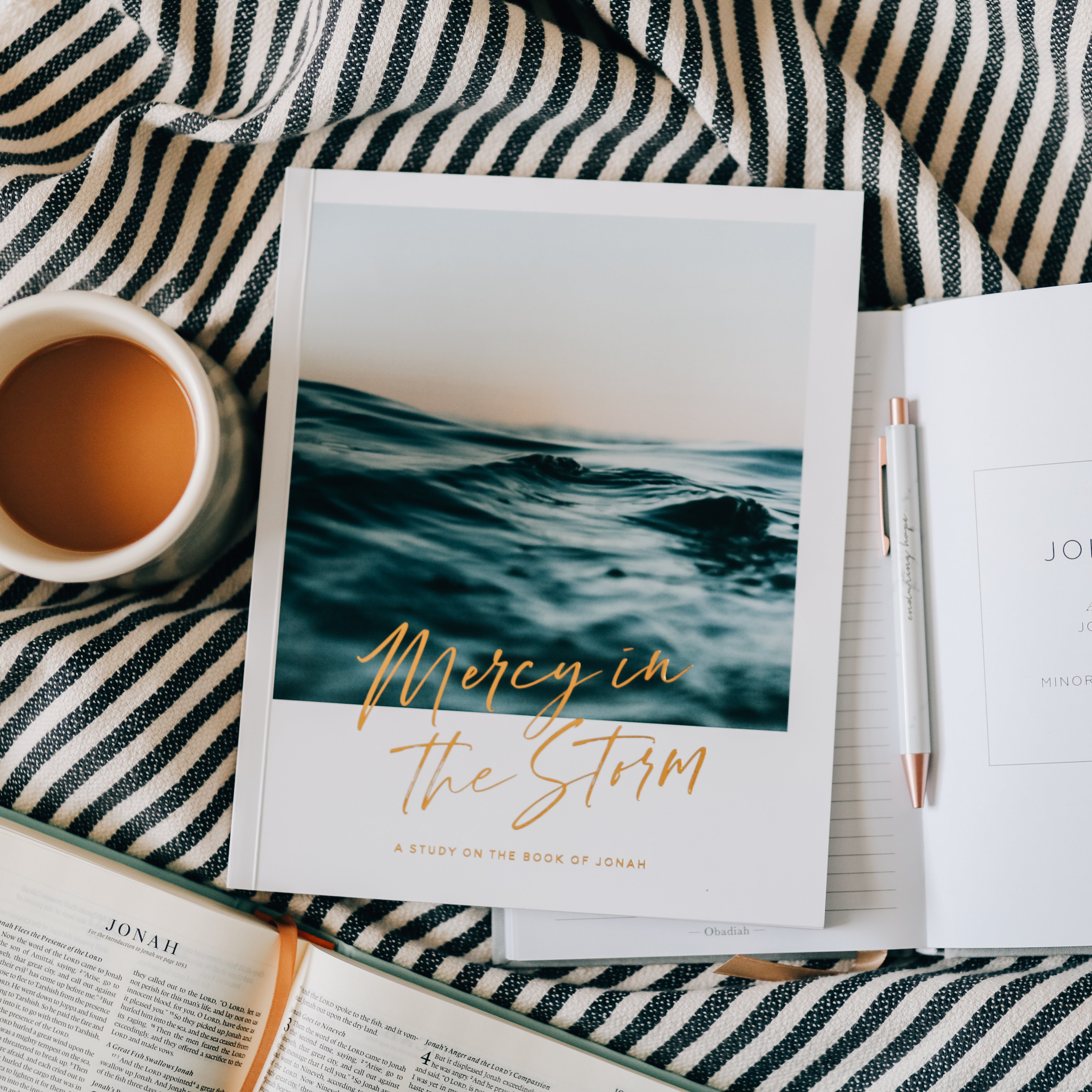Mercy in the Storm - A Study of Jonah
