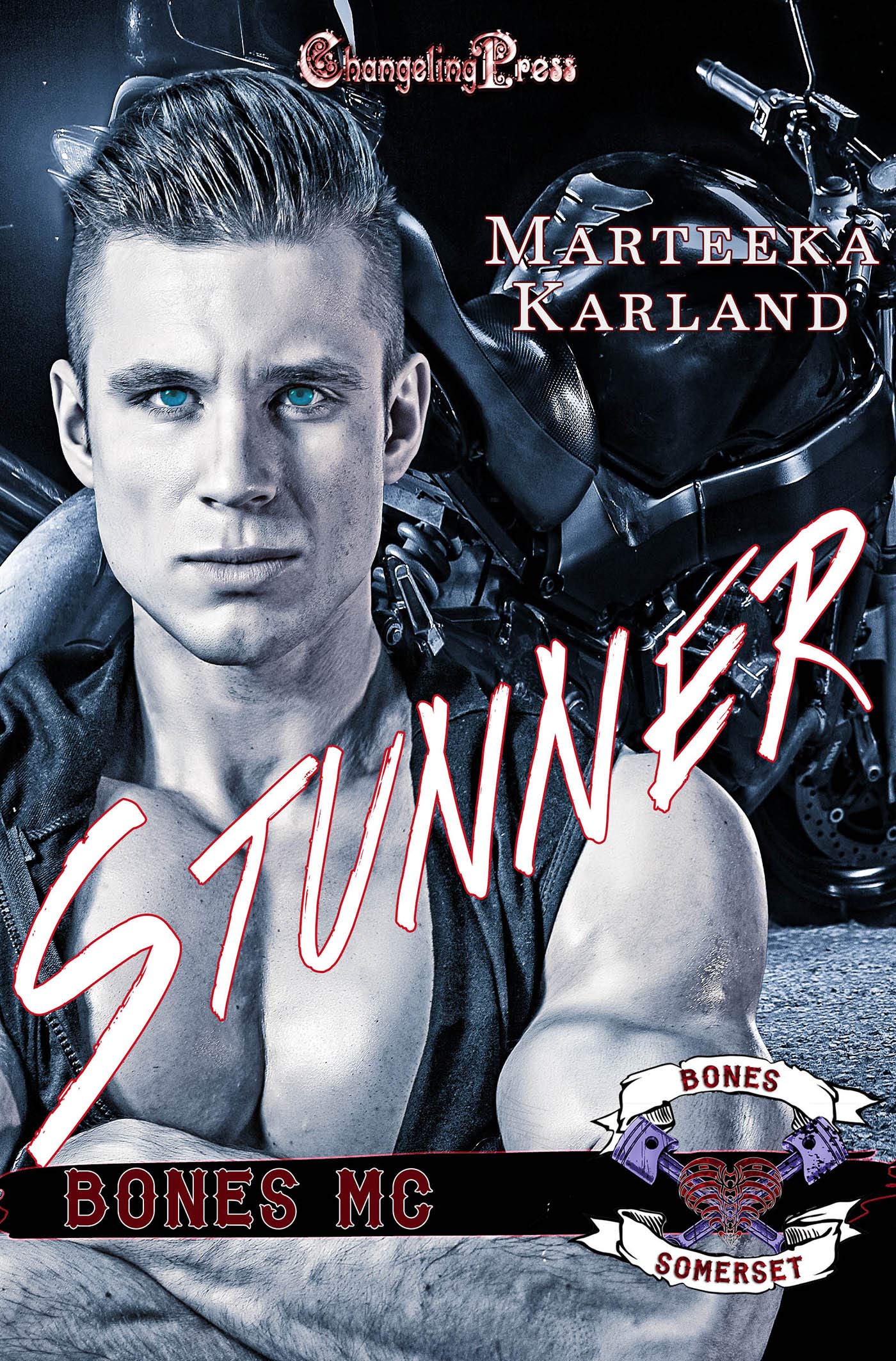 Stunner book cover