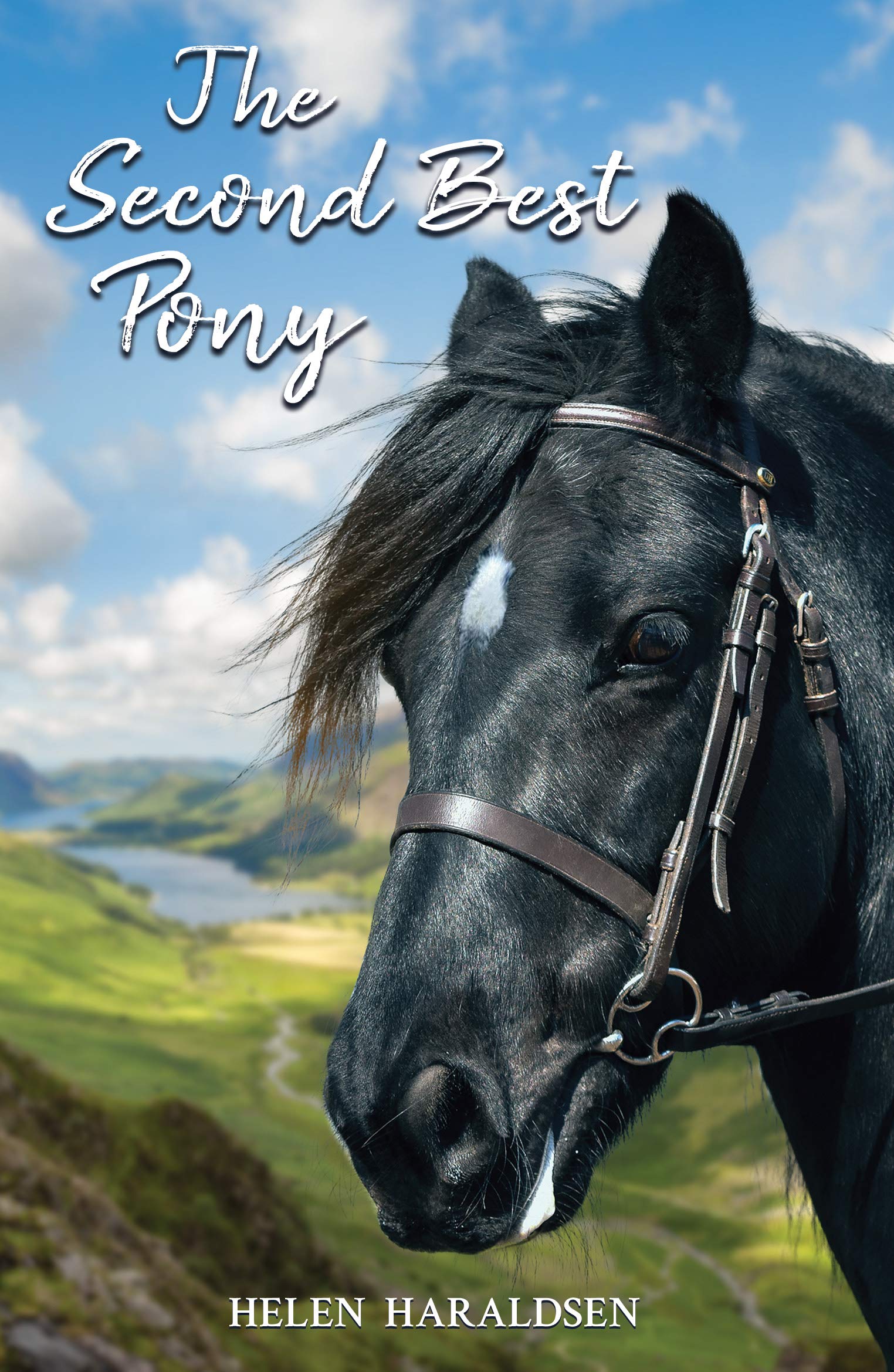The Second Best Pony