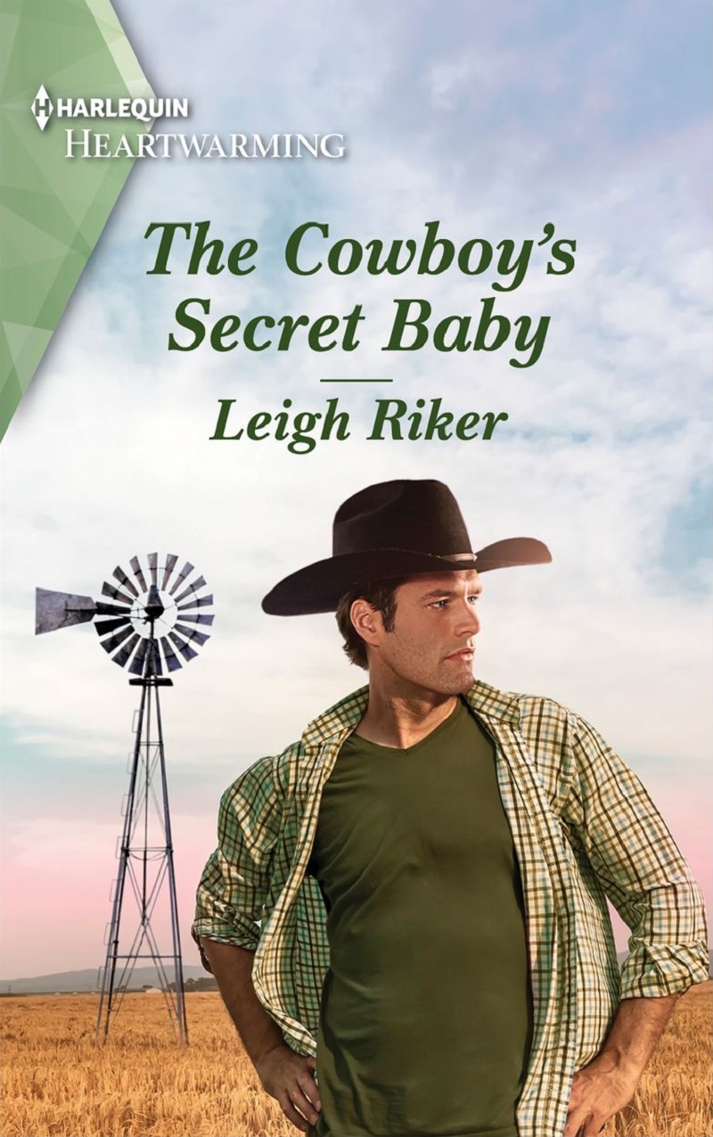 The Cowboy's Secret Baby book cover