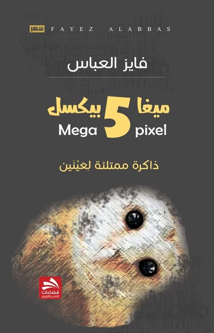 5 ميغا بيكسل