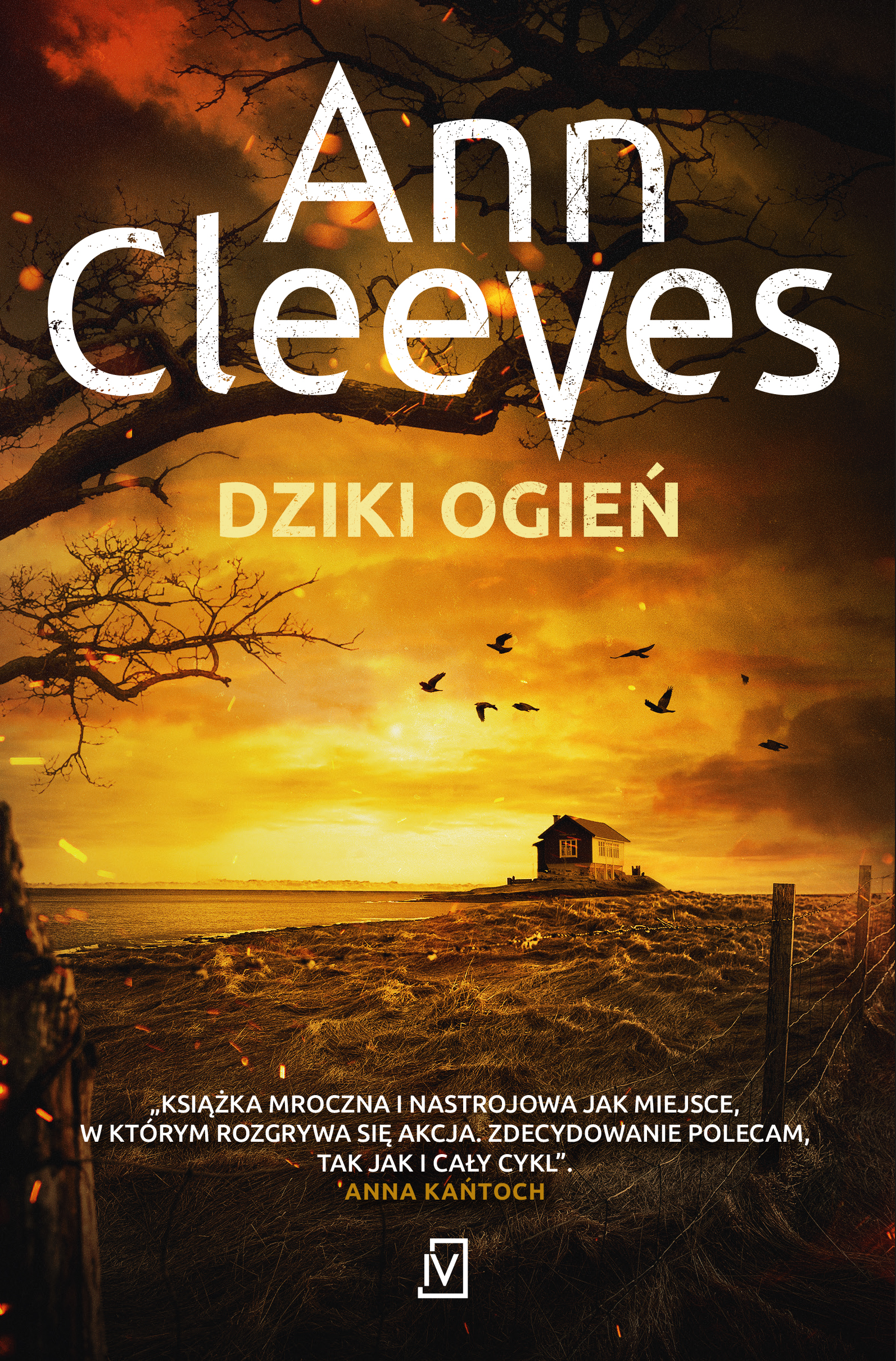 Dziki ogień (Seria szetlandzka, #8)