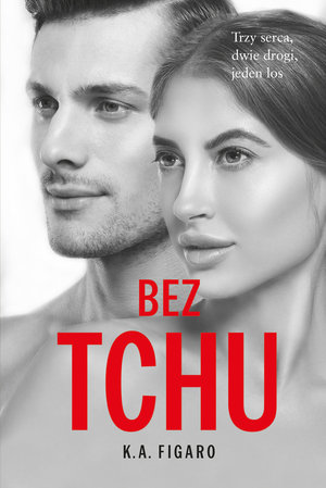 Bez tchu book cover