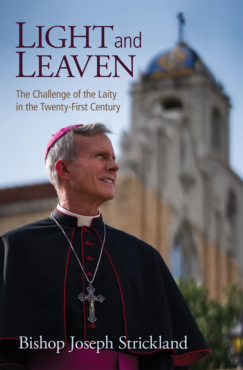 Light and Leaven: The Challenge of the Laity in the Twenty-First Century