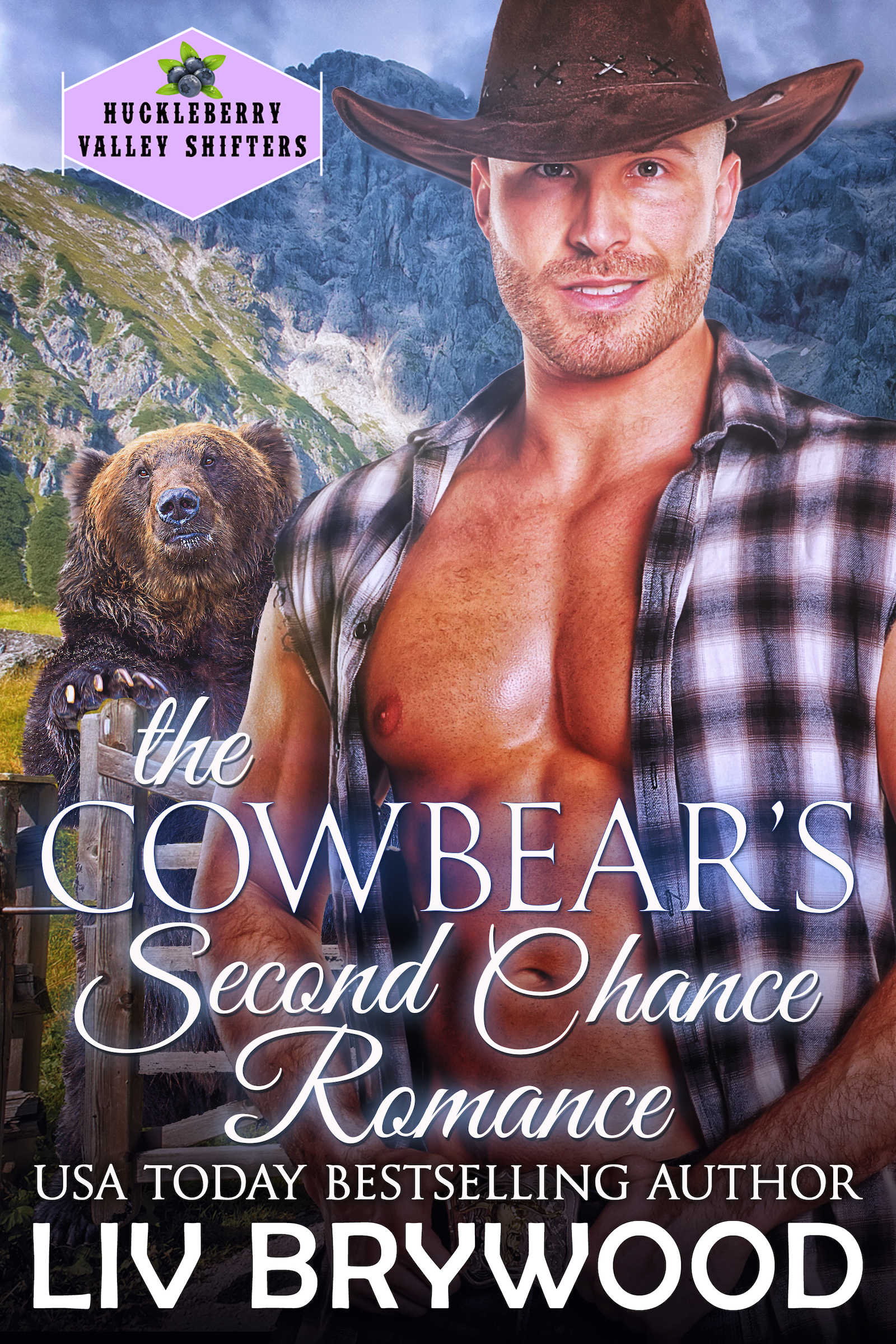 The Cowbear's Second Chance Romance book cover