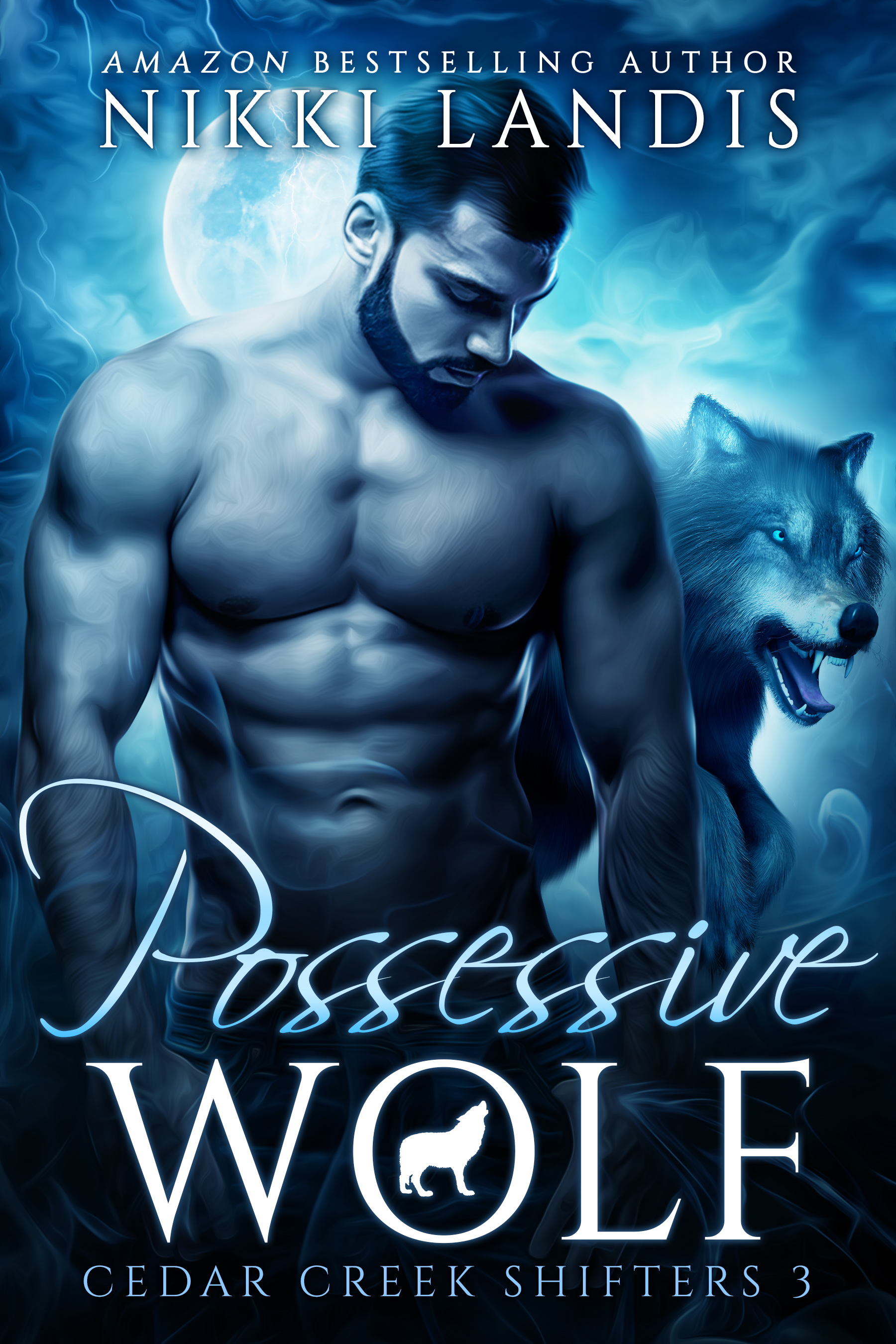 Possessive Wolf book cover
