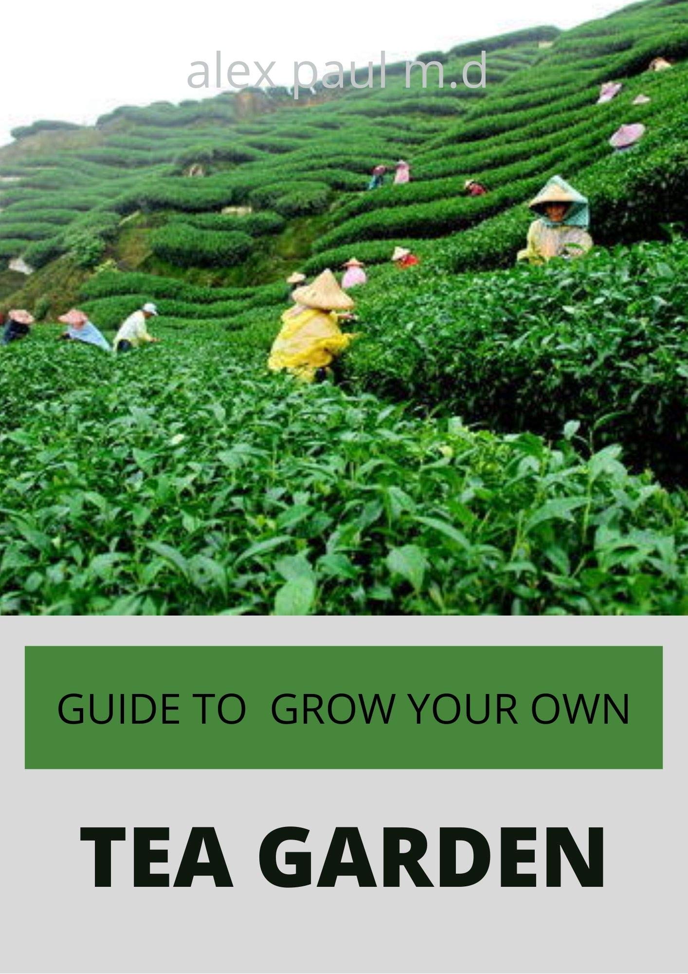 GUIDE TO GROW YOUR OWN TEA GARDEN Comprehensive Growing and Harvesting