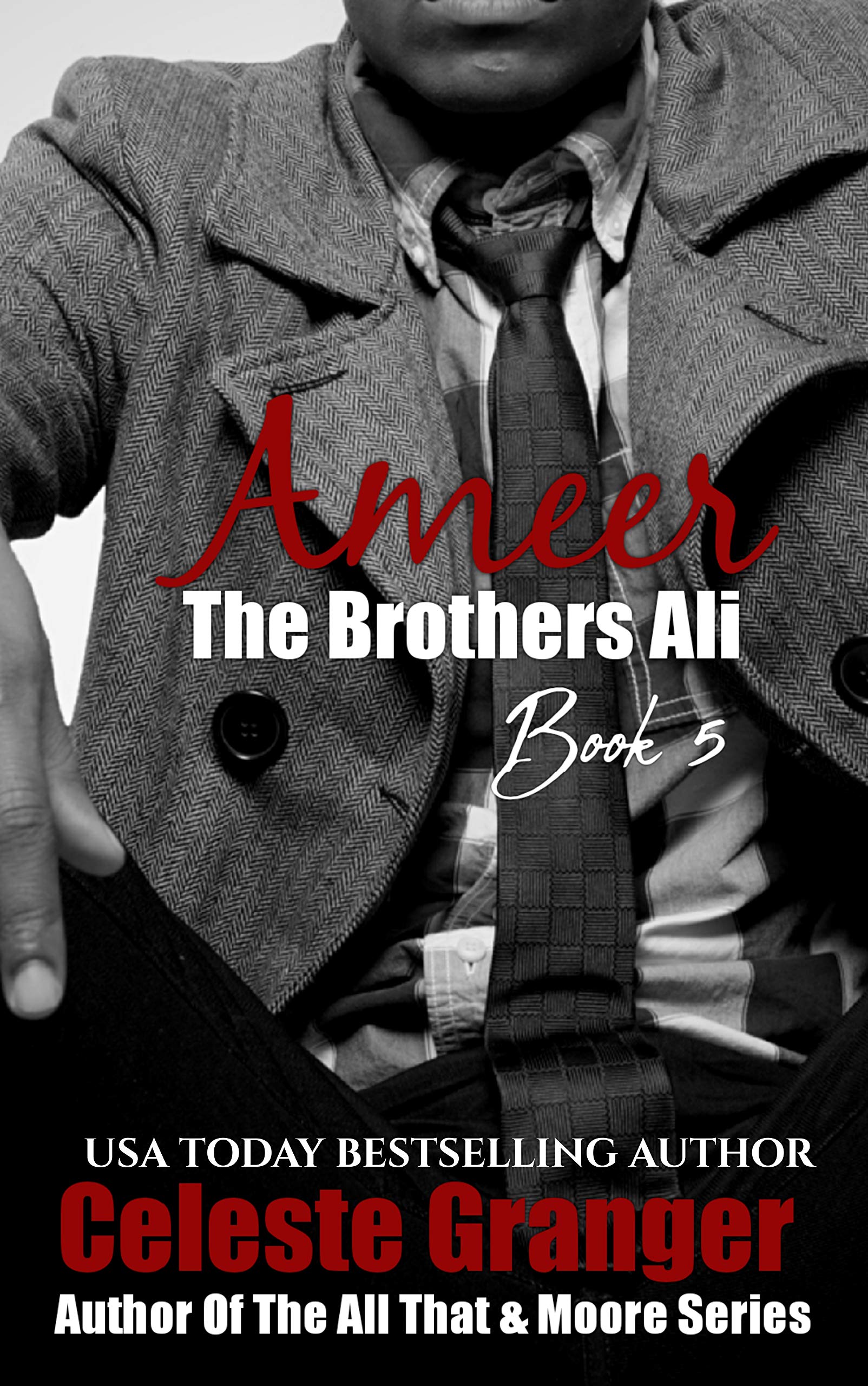 Ameer book cover