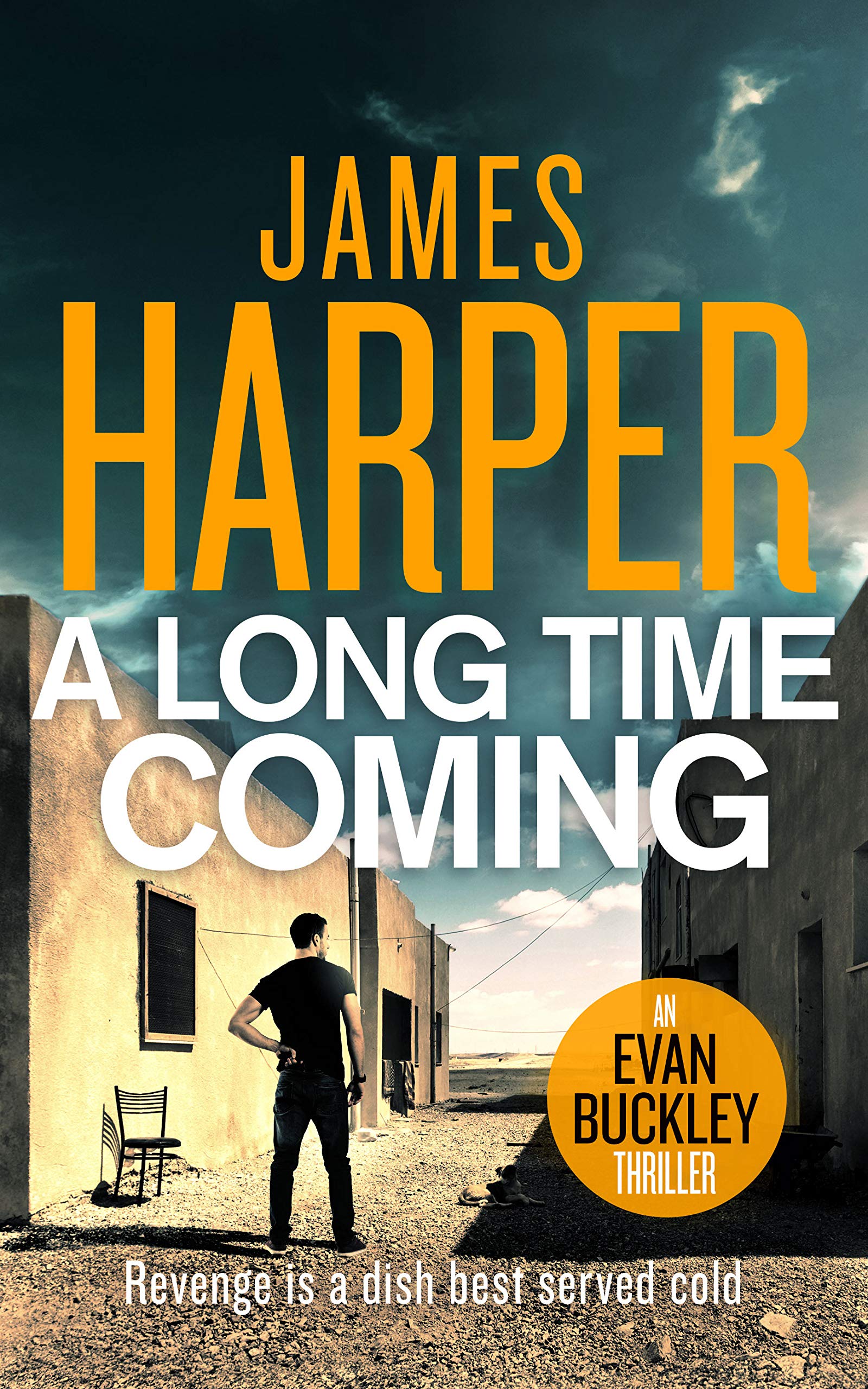A Long Time Coming book cover