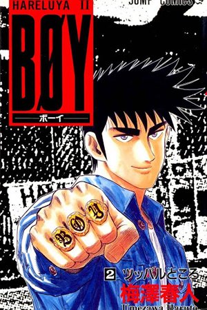 Boy : Hareluya 2 (Boy)  全３３巻セット BOY 33巻 全巻セット ➕ ハレルヤ 梅澤春人 - メルカリ
