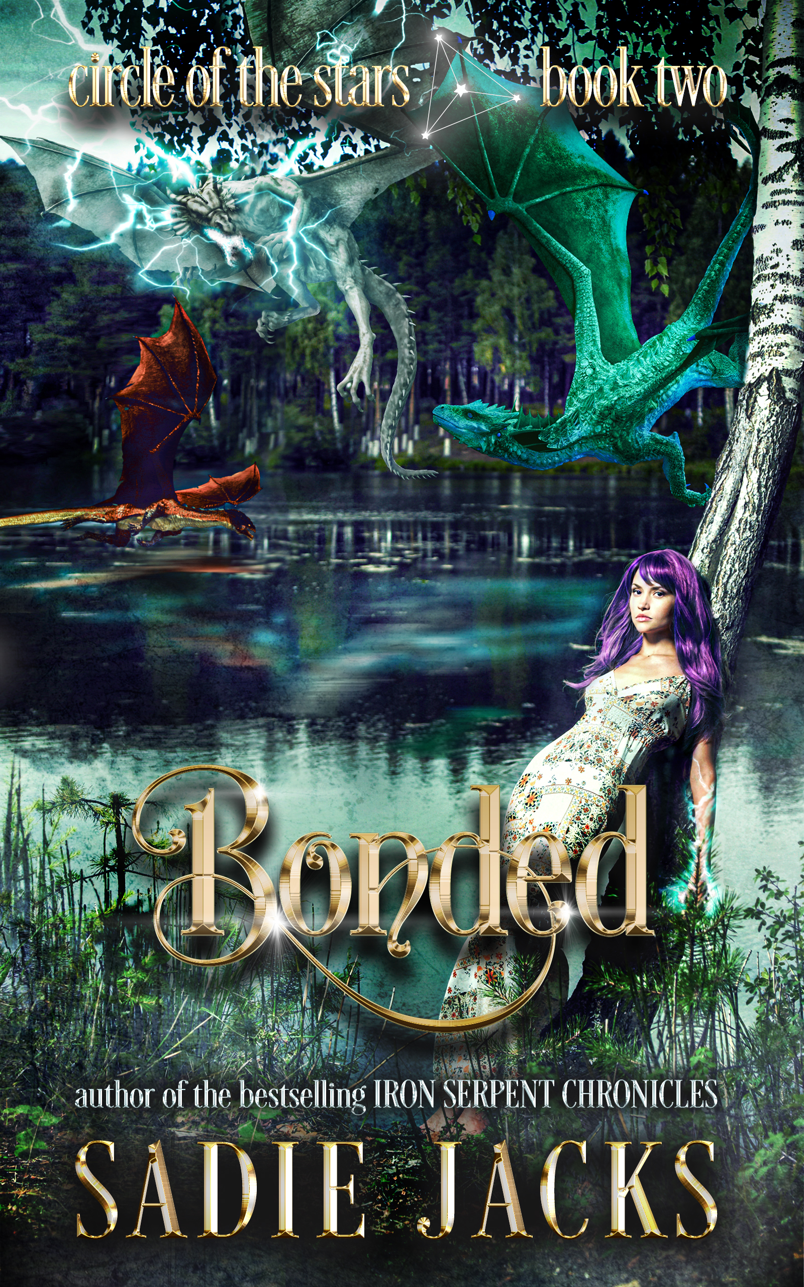 Circle of the Stars book cover 2